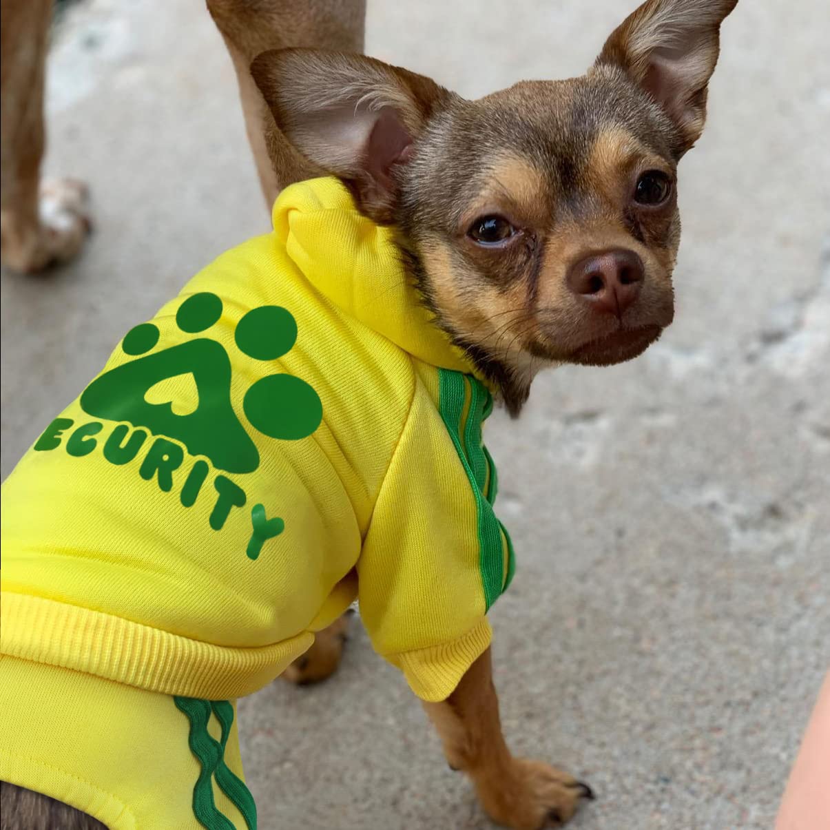 Oturnue'S Soft & Warm Dog Outfit: Security Dog Jumpsuit Sweatshirt Hoodie For Small To Large Dogs & Cats (Yellow, Xx-Small & Lar