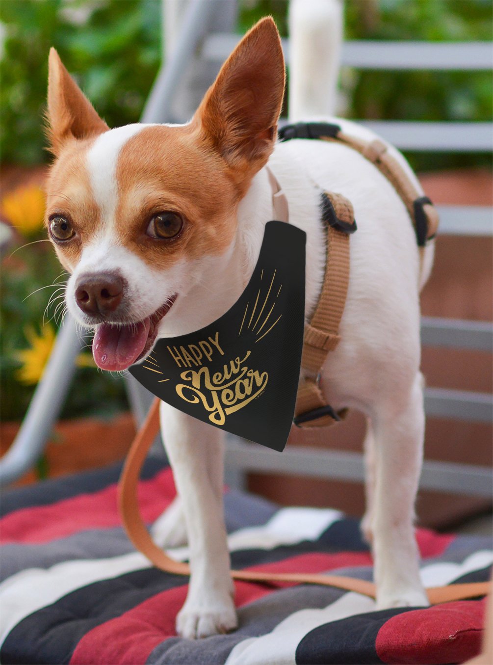 Thiswear Dog New Years Costume Happy New Year Outfit For Dogs Pet Collar Scarf For Smaller Dogs New Year