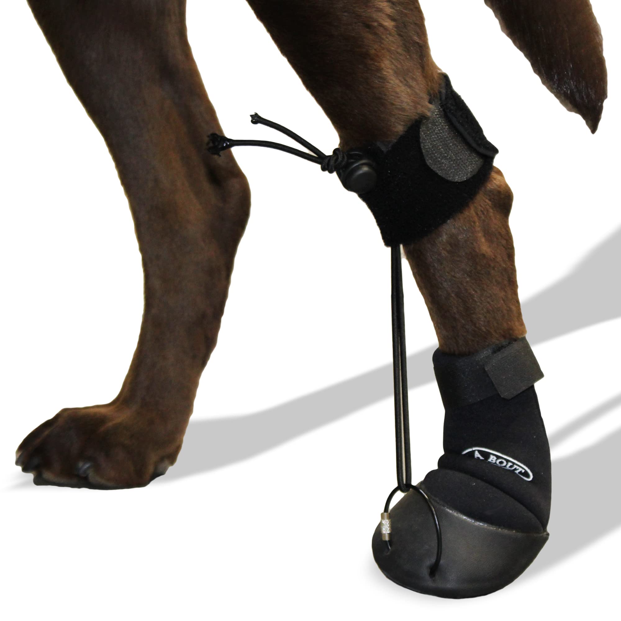 Walkabout Toe'Sup Anti-Knuckling Aid | Supportive 2-In-1 Dog Boot And Paracord Solution For Paw And Pad Protection | Rapid Pain 