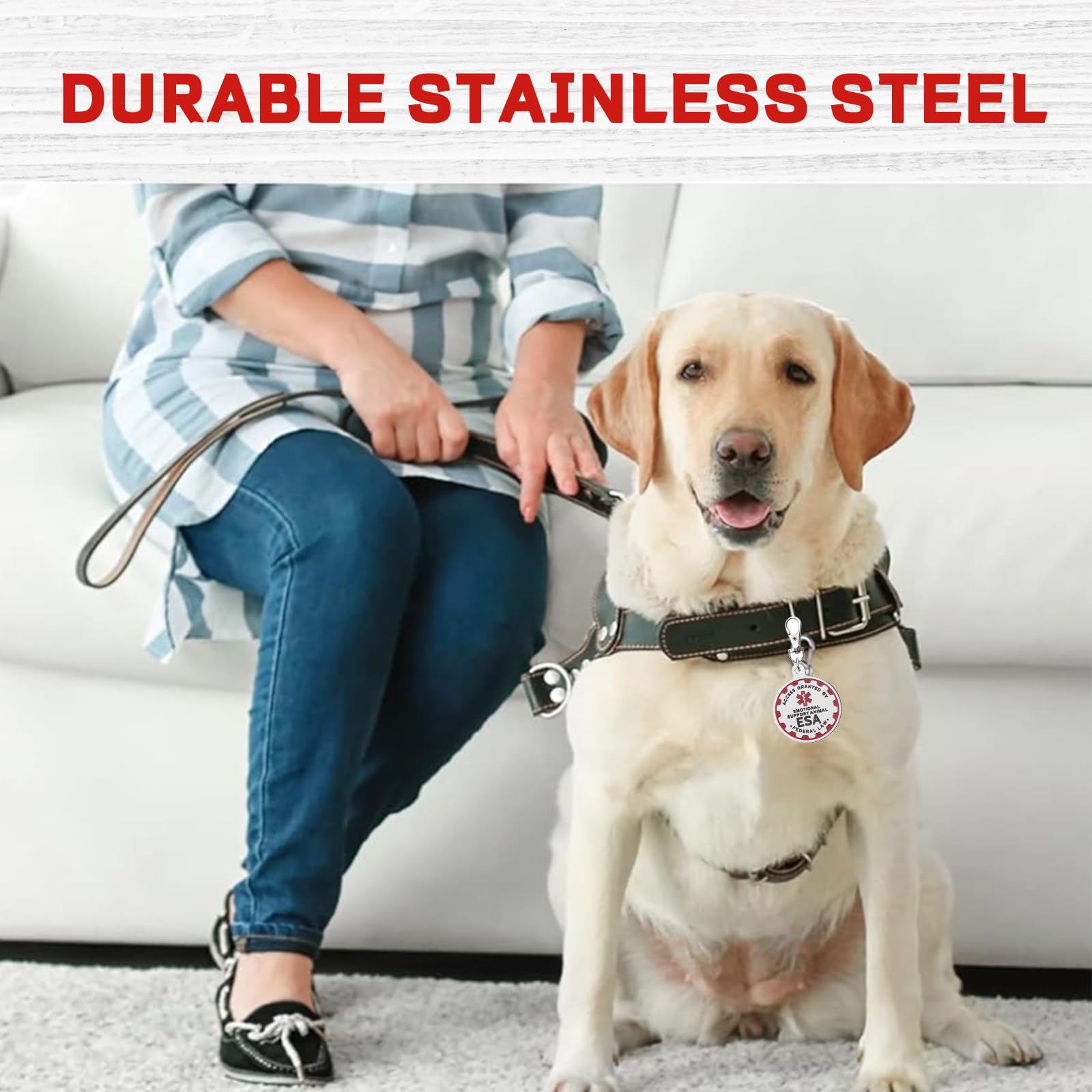 Yafiygi Service Dog Tag Service Dog Id Tag Engraved Stainless Steel Enameled Regular Emotional Support Dog Animal Tags For Large