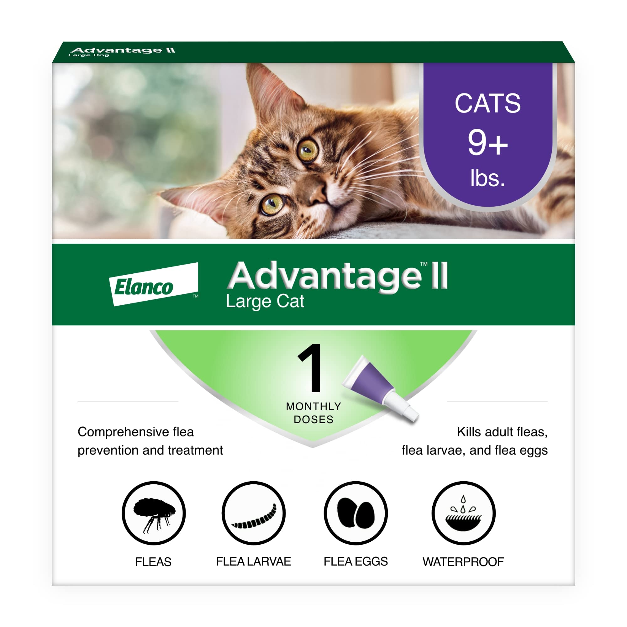 Advantage Ii Large Cat Vet-Recommended Flea Treatment & Prevention  Cats Over 9 Lbs.  1-Month Supply