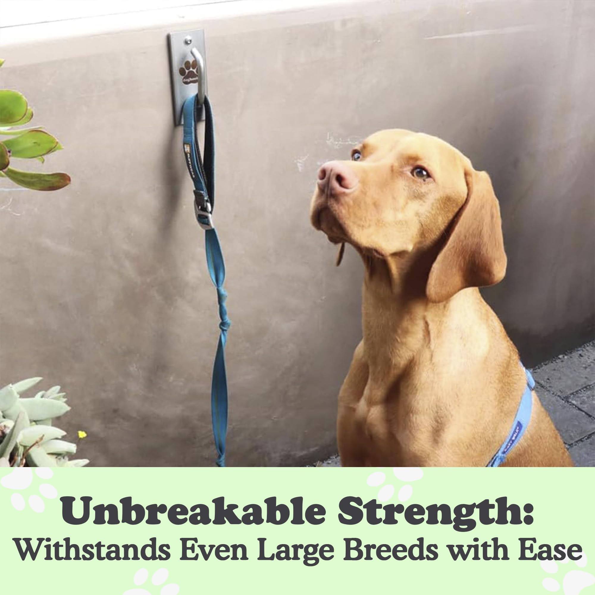 Canine Hitch- Secure Dog Leash Parking Mounted Indoor - Outdoor Wall Hook - Tie Out Stainless Steel Practical Lead Management Fo