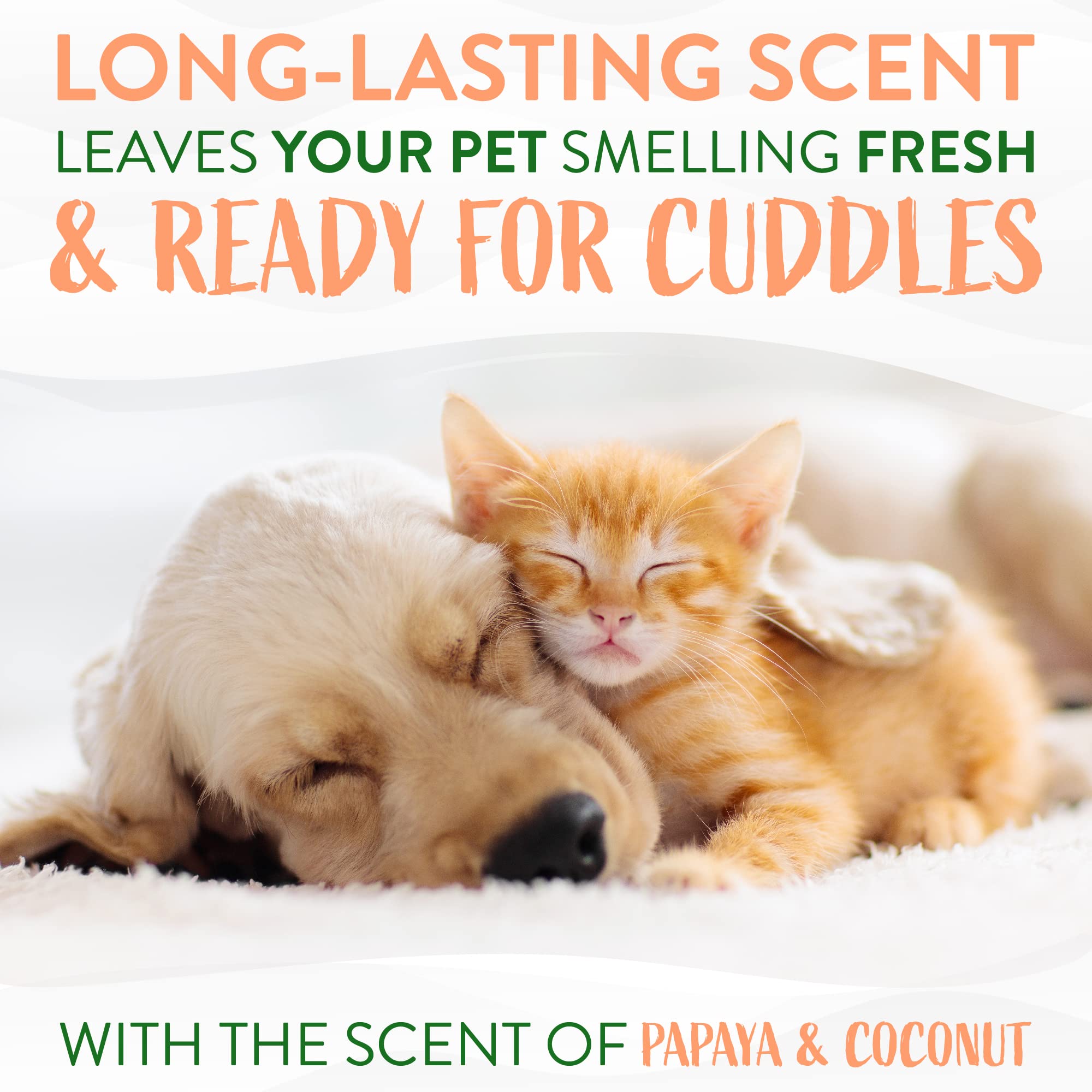 Tropiclean No Rinse Waterless Dog Shampoo | Detangling & Deodorizing Dry Shampoo For Smelly Pets | Moisturizes Dry Skin | Usa Ma