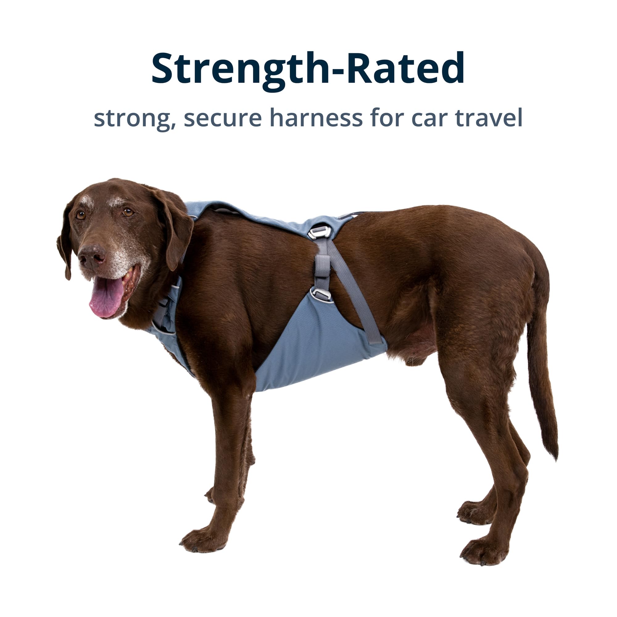 Ruffwear, Load Up Dog Harness, Strength-Rated Car Safety Harness With Universal Seat Belt Attachment, Slate Blue, Medium