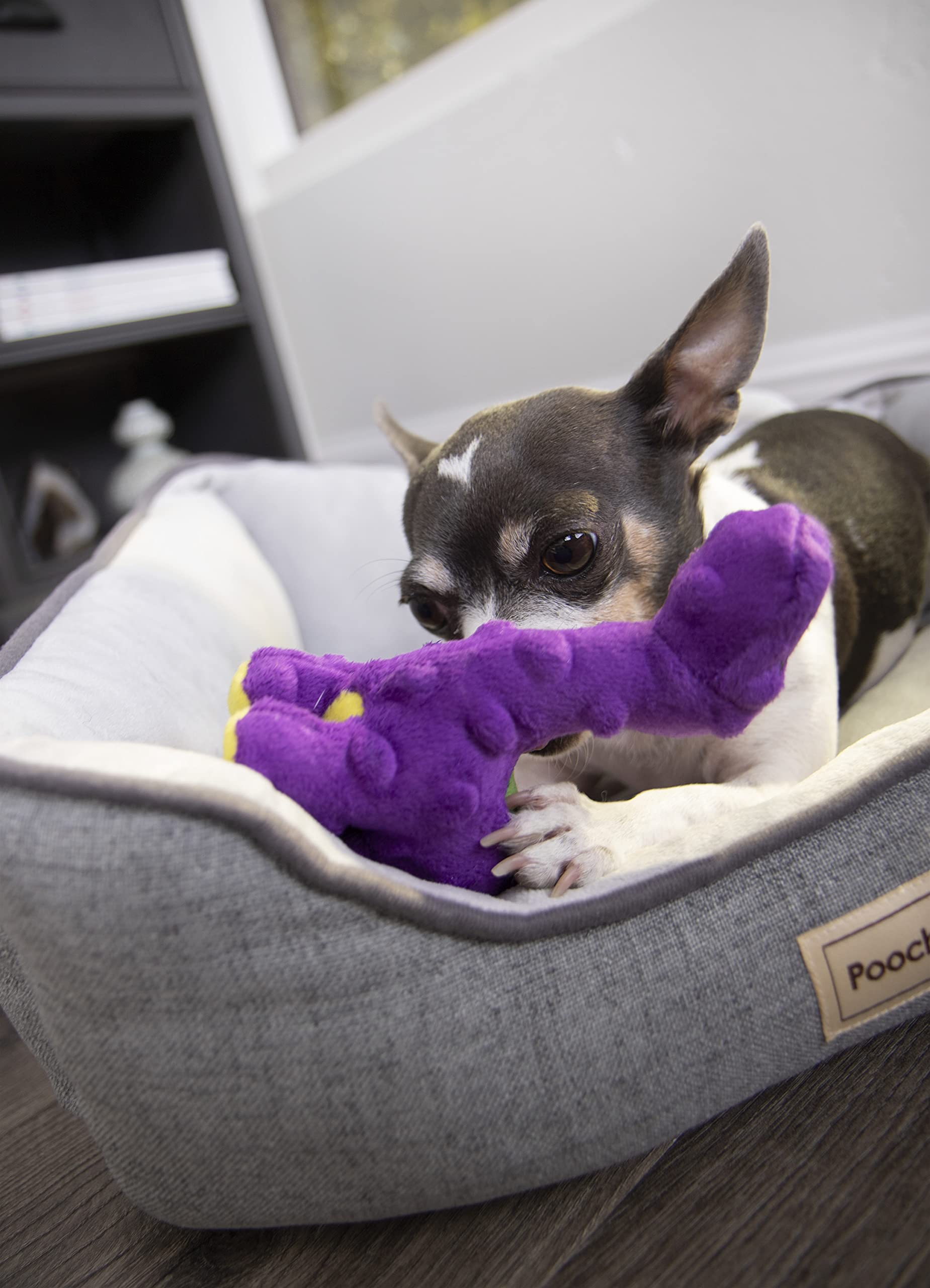 Godog Just For Me Bruto With Chew Guard Technology Plush Dog Toy, Purple, Mini