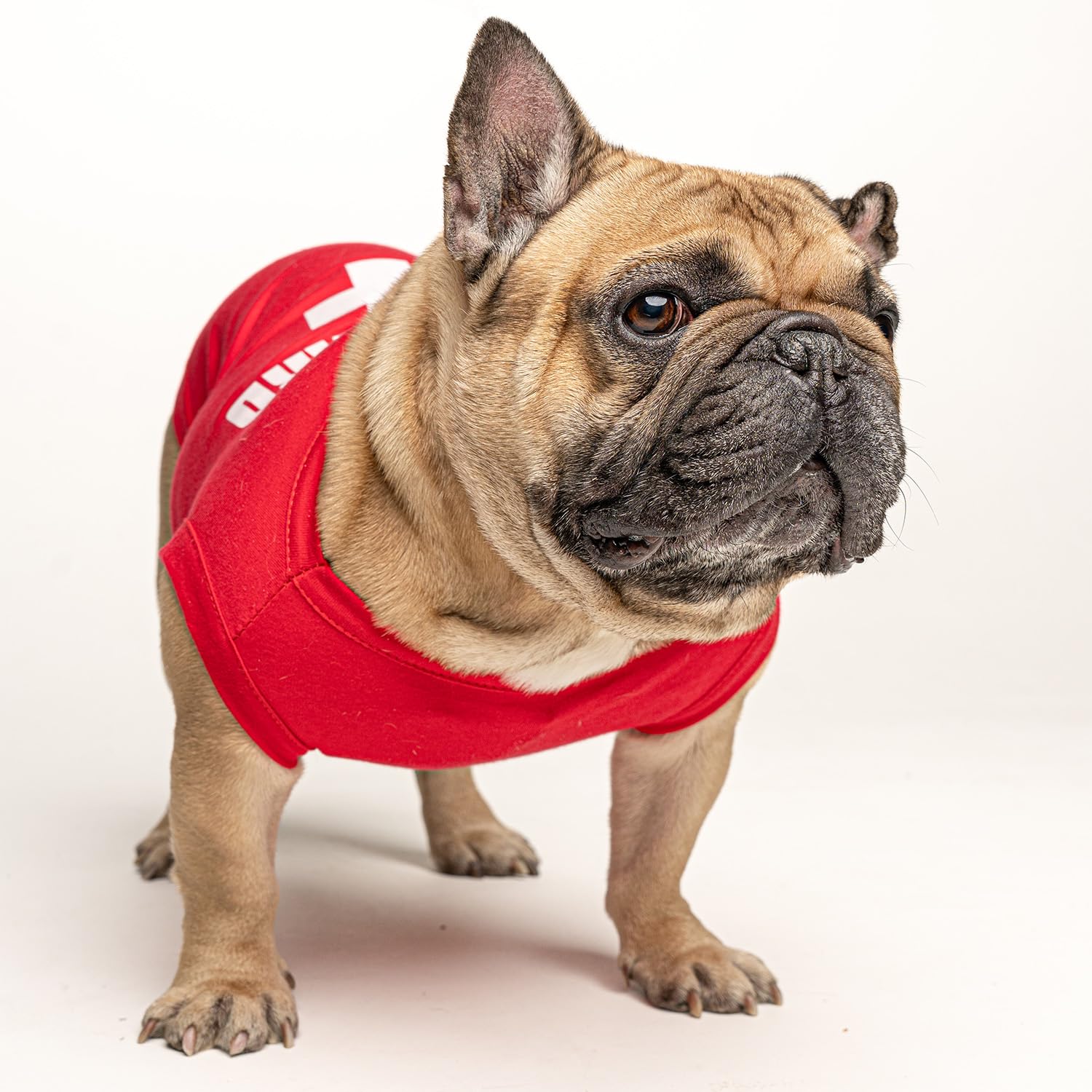 Lifeguard Dog Tee Shirt Sizes For Puppies, Toys, And Large Breeds (53 Red 5X-Large)