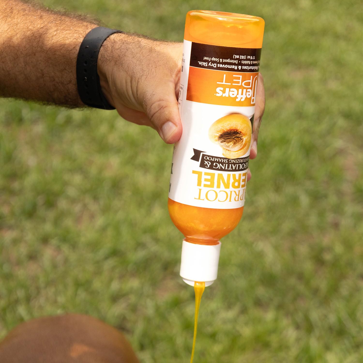 Jeffers Pet Apricot Kernel Shampoo - Detergent & Soap Free Exfoliating & Moisturizing Formula For Dogs, Cats, Puppies, Ferrets &