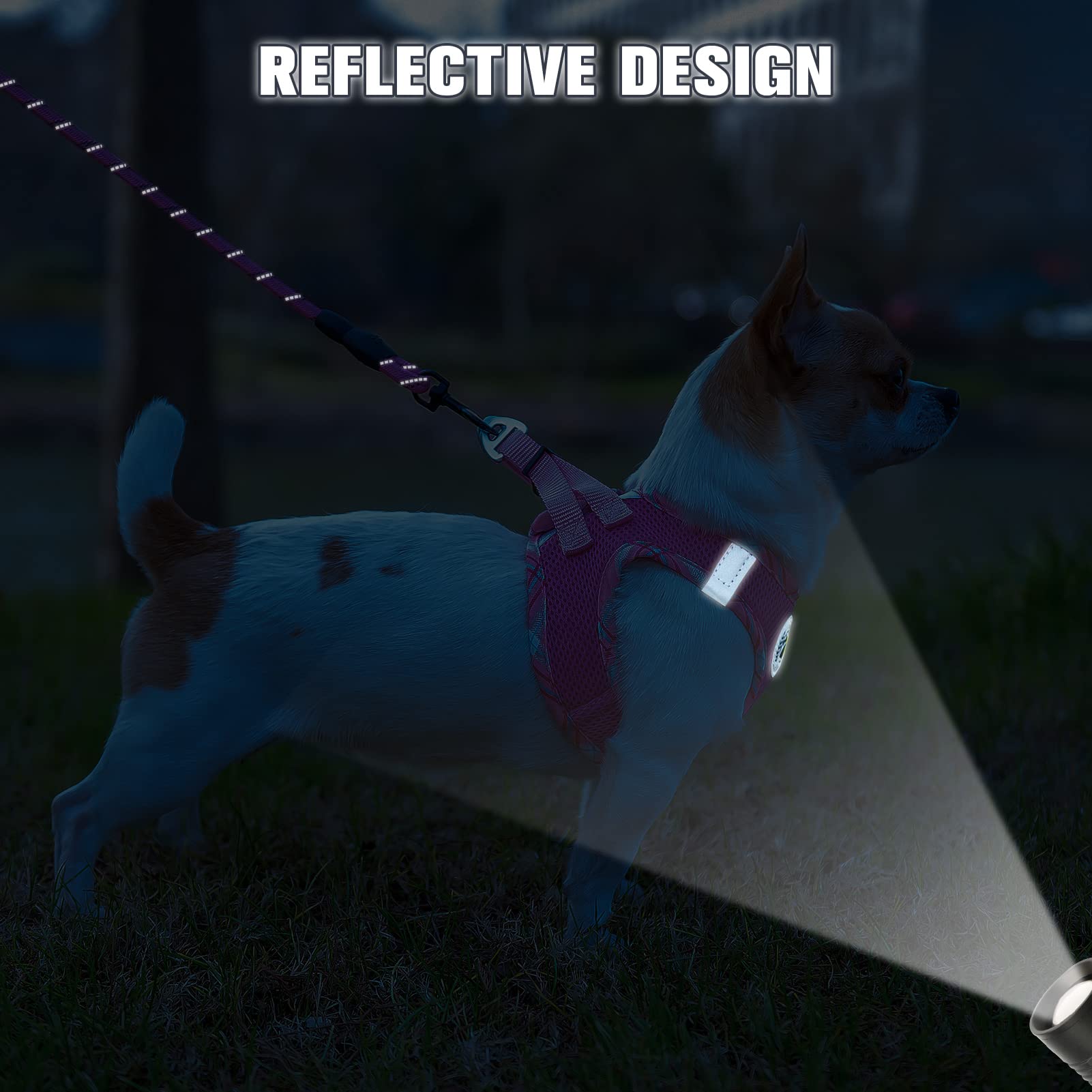 Beautyzoo Dog Harness And Leash Set For Small Medium Dogs,No Pull Step-In Harness For Puppy S M Sized Dogs And Cats,Air Mesh Adjustable Breathable Soft No Chock Escape Proof Vest Harnesses,Pink Xxs