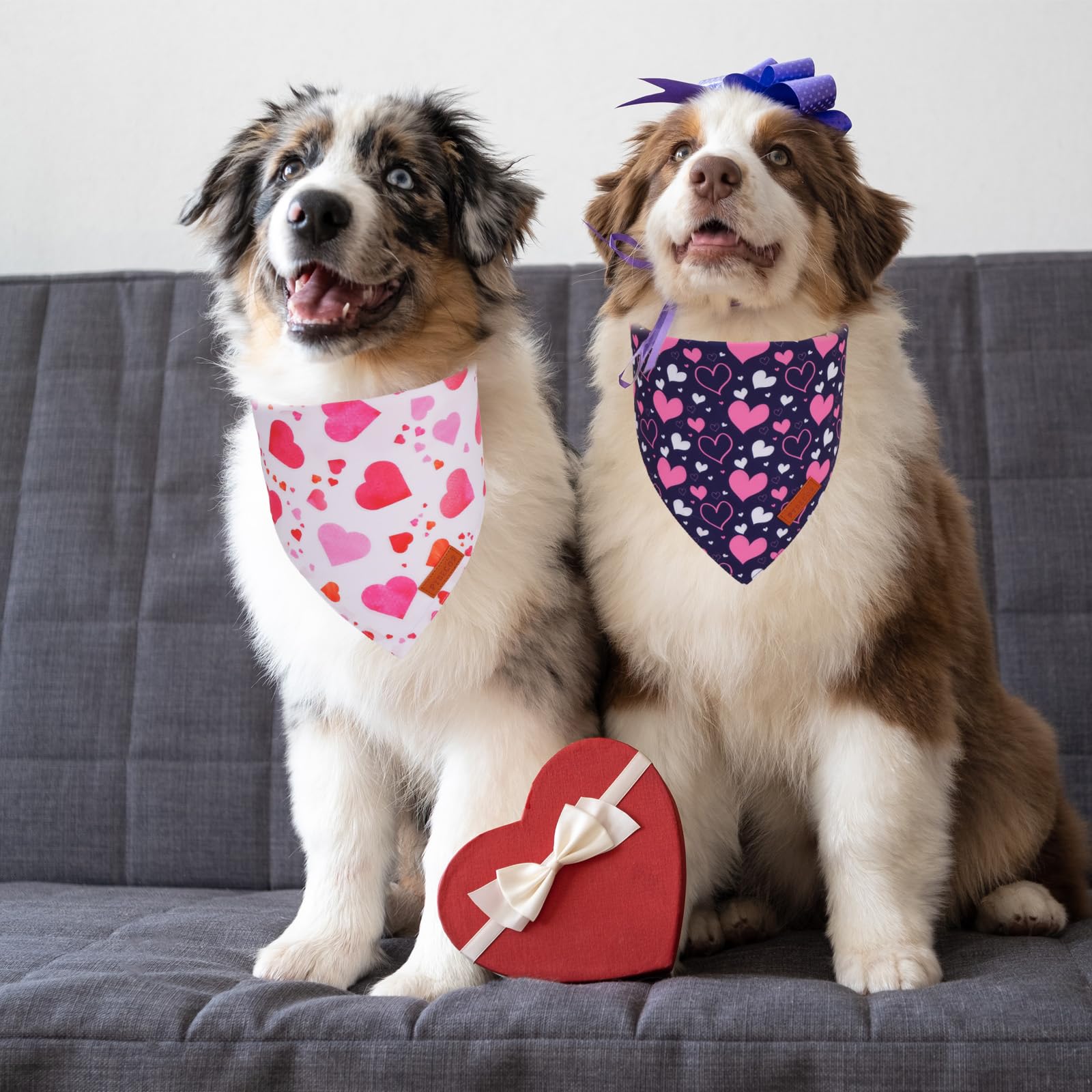 Ptdecor Valentine Dog Bandana, White Purple Love Heart Design Reversible Dog Scarf, Triangle Valentine Bandanas For Medium Large