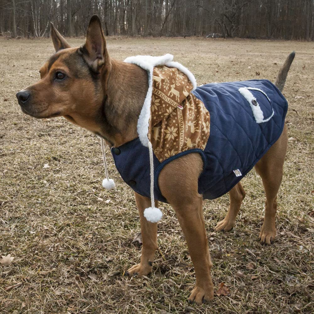 TOUCHDOG 'Snowadayz' Pom Pom Fashion Designer Pet Dog Coat Hooded Sweater Jacket Hoodie, X-Large, Yellow / Blue