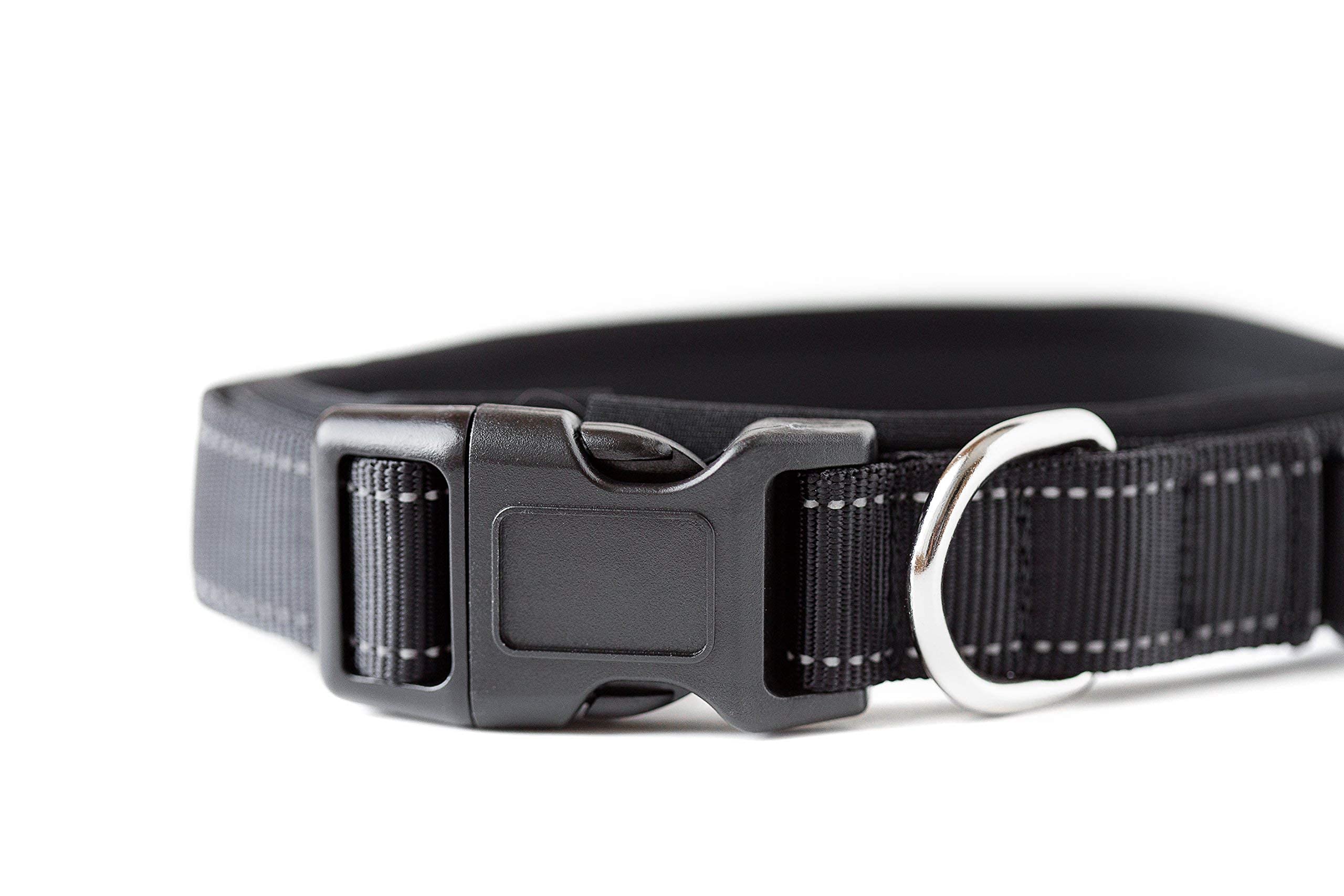 Mighty Paw Dog Collar - Neoprene Padded - Reflective For Running - Extra Comfort For Active Dogs - Active Dog - Padded Dog Collar - Comfortable Dog Collar For All Dog Breeds - Heavy Duty Dog Collar