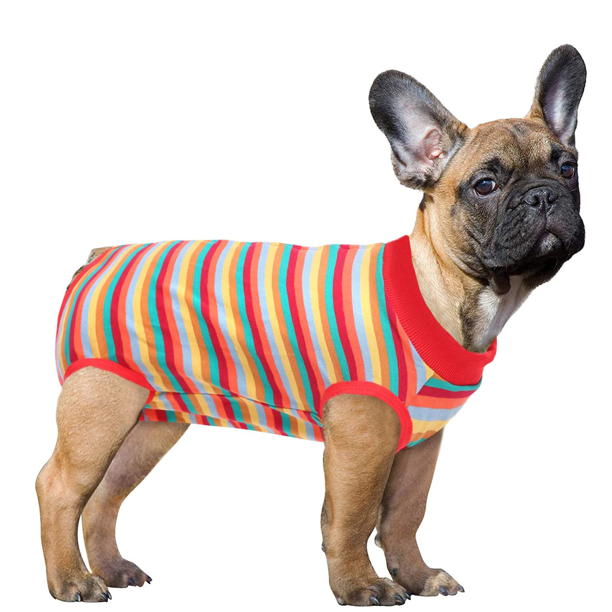 Sawmong Dog Recovery Suit, Recovery Suit For Dogs After Surgery, Dog Spay Surgical Suit For Female Dogs, Dog Onesie Body Suit For Surgery Male Substitute Dog E-Collar Cone, Rainbow Red, Xxx-Large