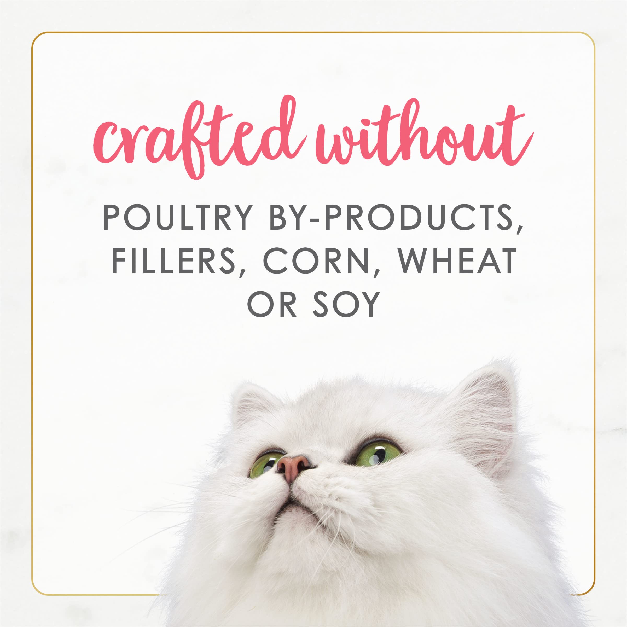 Purina Fancy Feast Grain Free Pate Wet Kitten Food Gourmet Naturals Wild Alaskan Salmon Recipe - (Pack of 12) 3 oz. Cans
