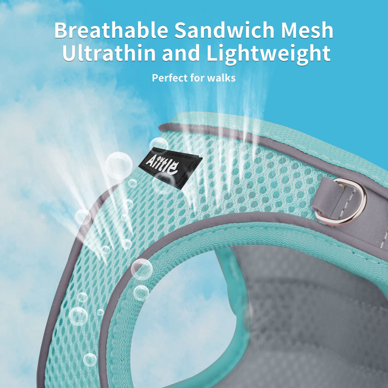 Aiitle Easy Walk Dog Harness And Leash Set - Pet Supply No Pull, Step In Adjustable Dog Harness With Padded Vest, Dog Harness No