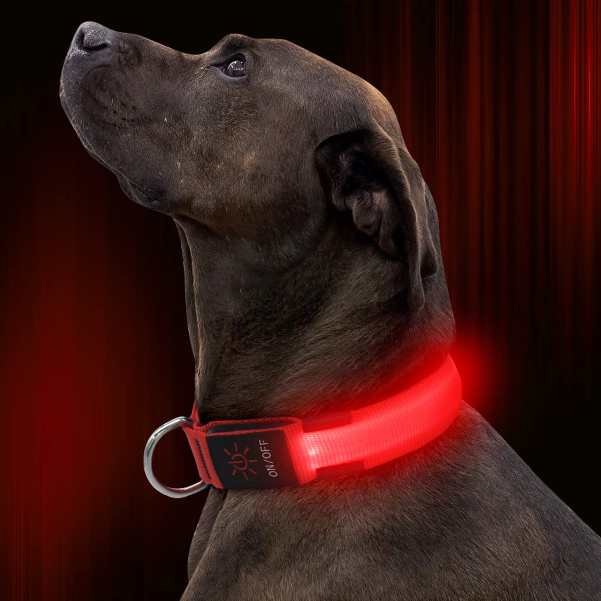 Illumifun Led Dog Collar, Usb Rechargeable Lighted Dog Collar, Nylon Webbing Glowing Safety Collars For Your Dogs Walking At Night(Red, Large)