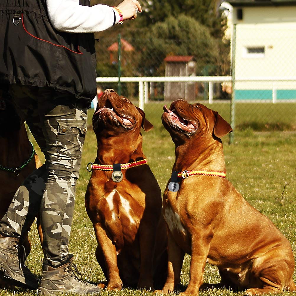 Scenereal Large Dog Collar Bell For Training, Hiking, Walking, Hunting, Pet Tracker, 2 Pack 1.5' Extra Loud Pet Bell For Save Wildlife And Birds (Bear Bell, Cow Bell) Gold | Silver