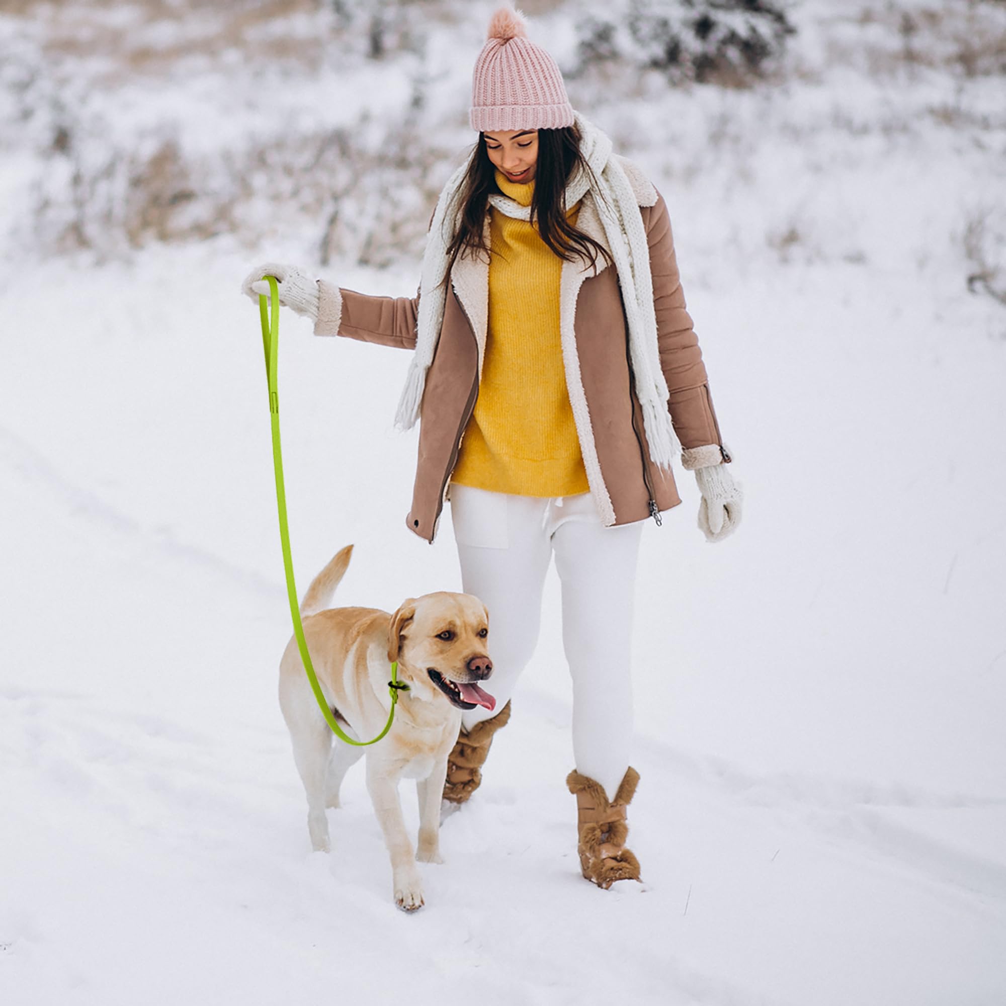 Dogline Biothane Slip Dog Leash - For Small, Medium And Large Dogs - Odor Free Slip Lead, Heavy Duty And Durable Material Kennel Lead - Safety Yellow - 5Ft L X 3/8In W