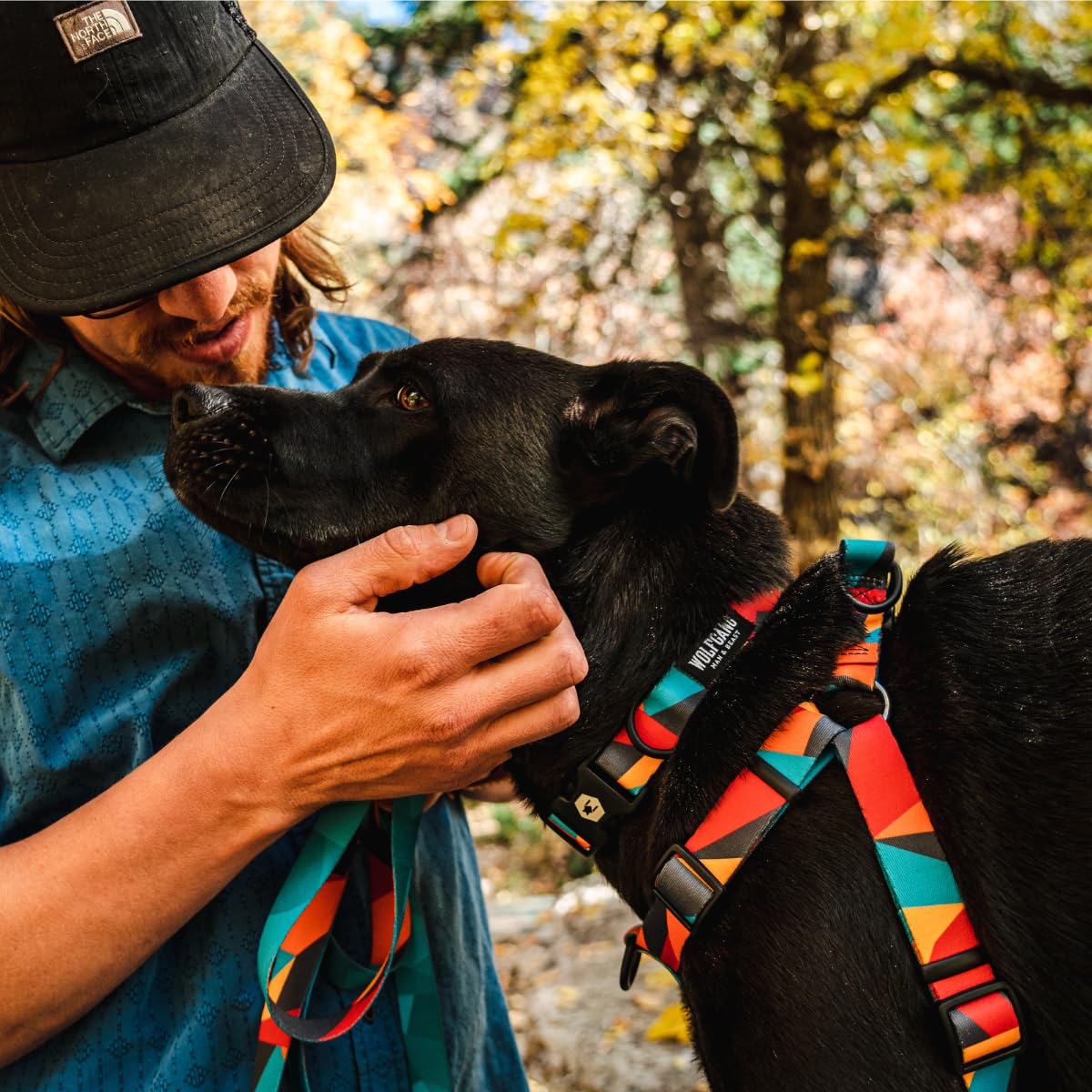 Wolfgang Heavy Duty Adjustable Dog Harness, Pull-Tested To Over 800 Lbs For Walking & Training, Shattershapes Print, Extra Large