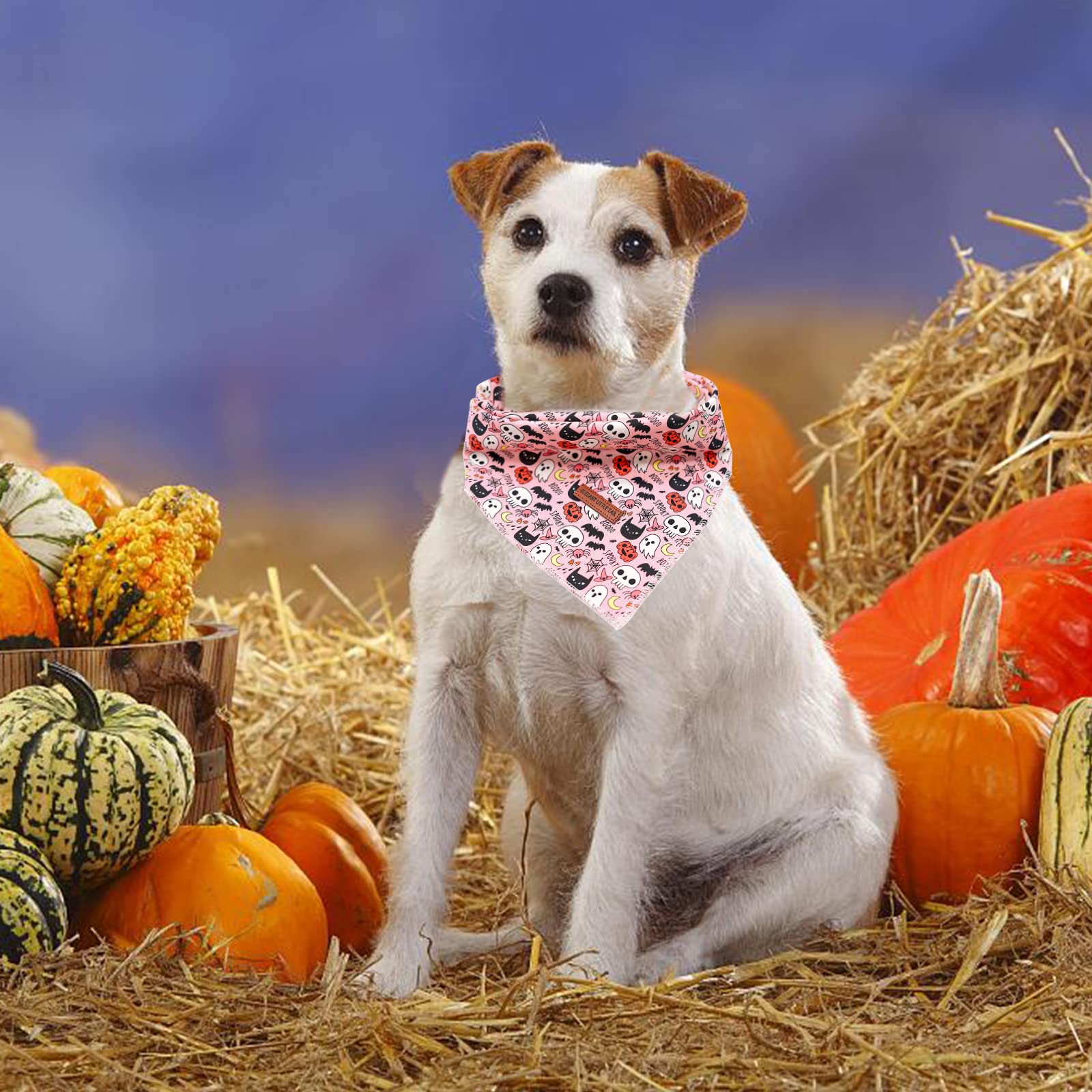 Elegant Little Tail Dog Bandana, Halloween Pumpkin Girl Boy Dog Bandanas For Small Medium Large Dogs Washable Square Dog Scarf A