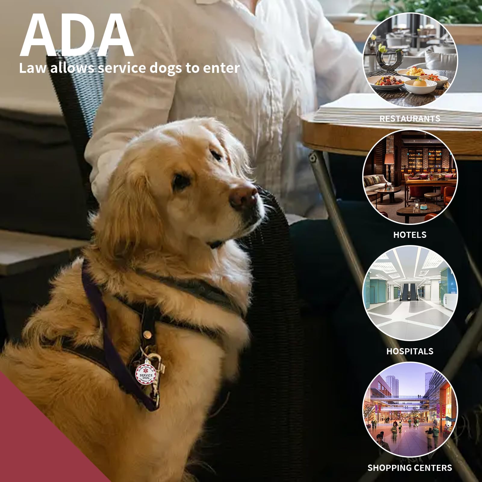 Service Dog Tag Industrial Puppy For Service Animals, Emotional Support Dogs & Therapy Dogs Entirely Surgical Stainless Steel Ea