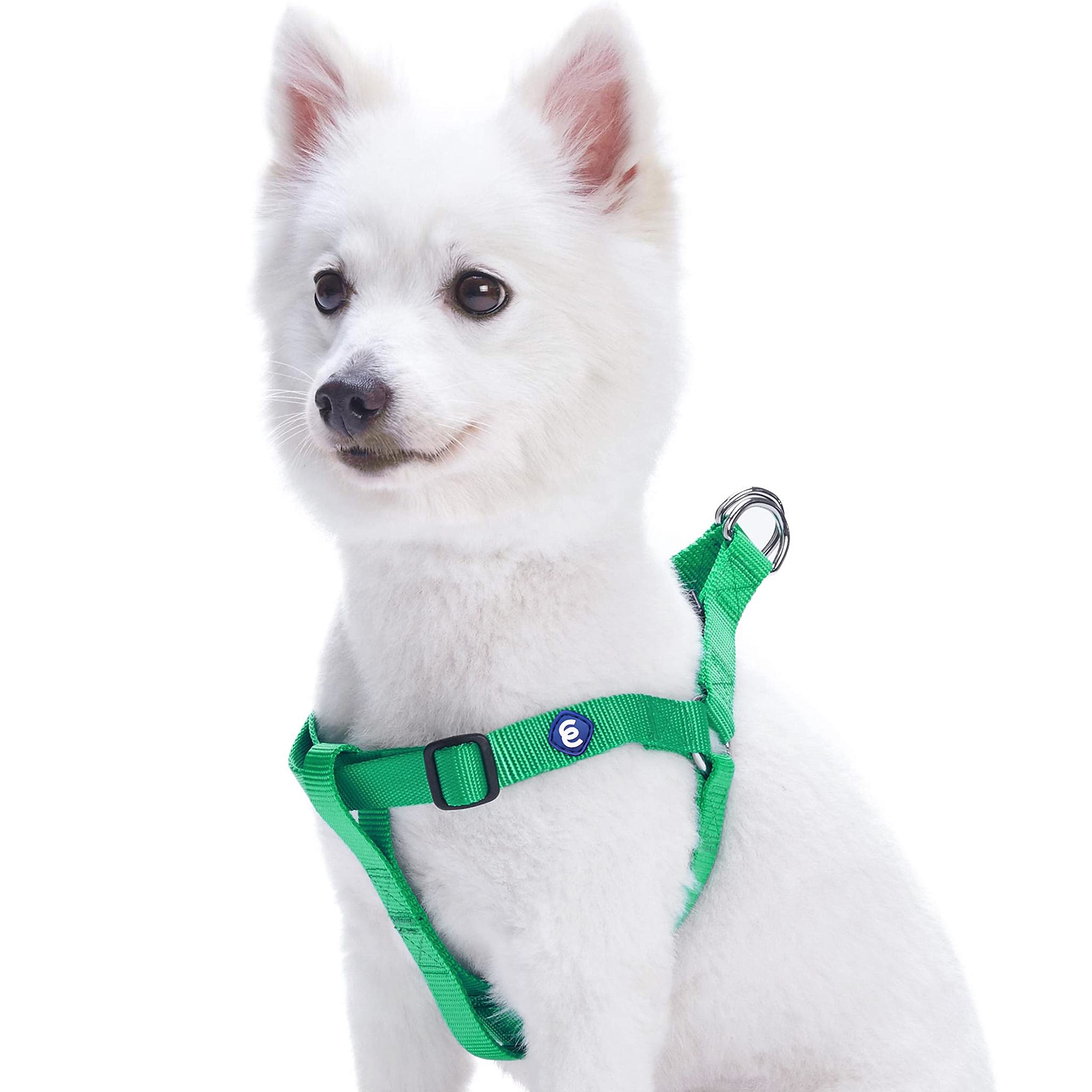 Blueberry Pet Essentials Classic Durable Solid Nylon Step-In Dog Harness, Chest Girth 26' - 39', Emerald, Large, Adjustable Harnesses For Puppy Boy Girl Dogs