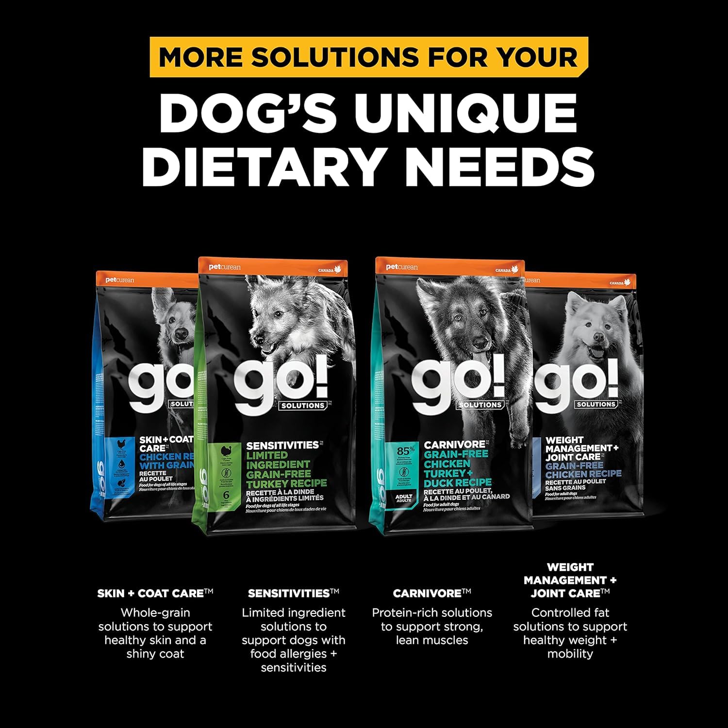 Go! Solutions Digestion + Gut Health Salmon Dry Dog Food, Premium Chicken-Free Kibble for Gastrointestinal & Digestive Wellness,