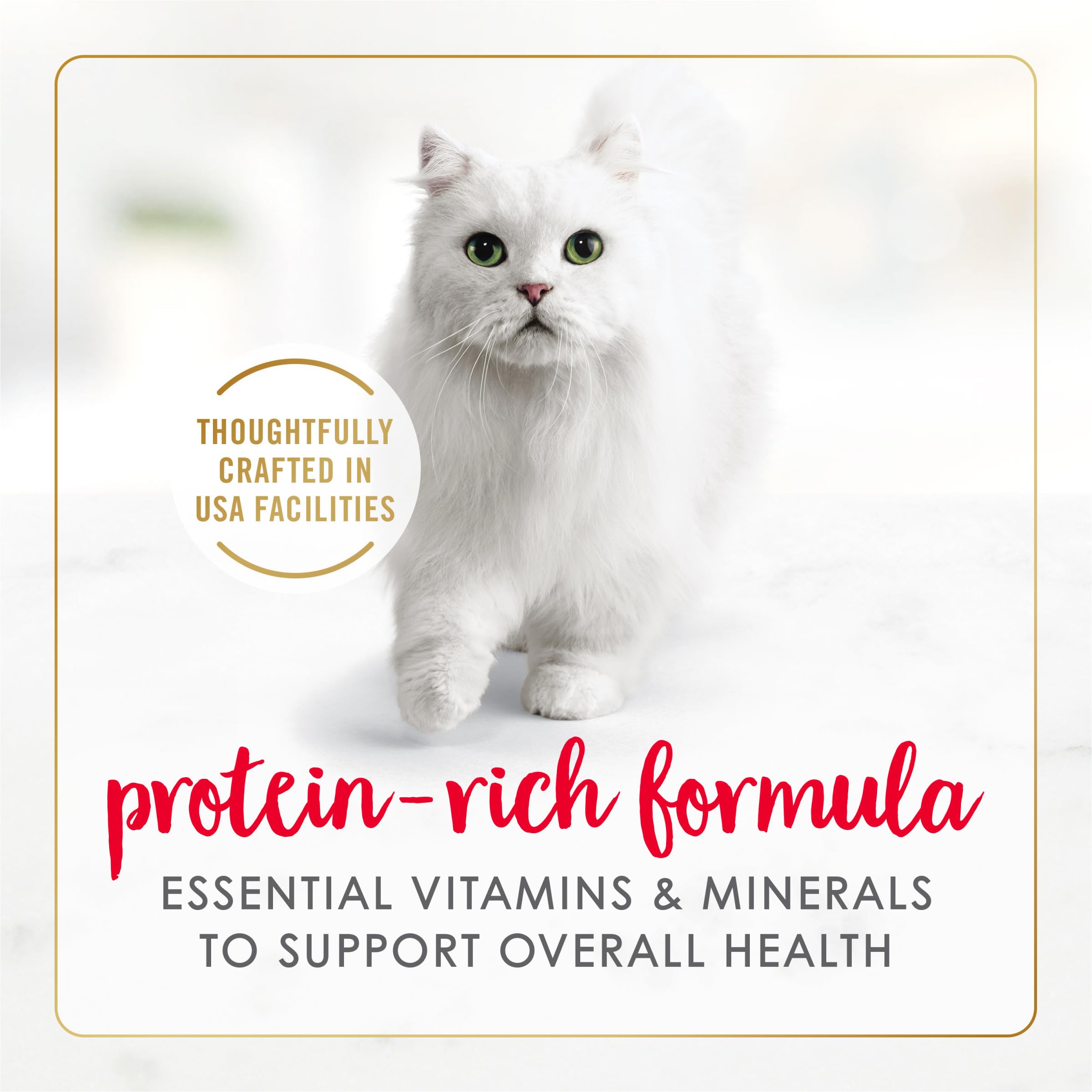 Purina Fancy Feast Tender Beef and Chicken Feast Classic Grain Free Wet Cat Food Pate - (Pack of 24) 3 oz. Cans