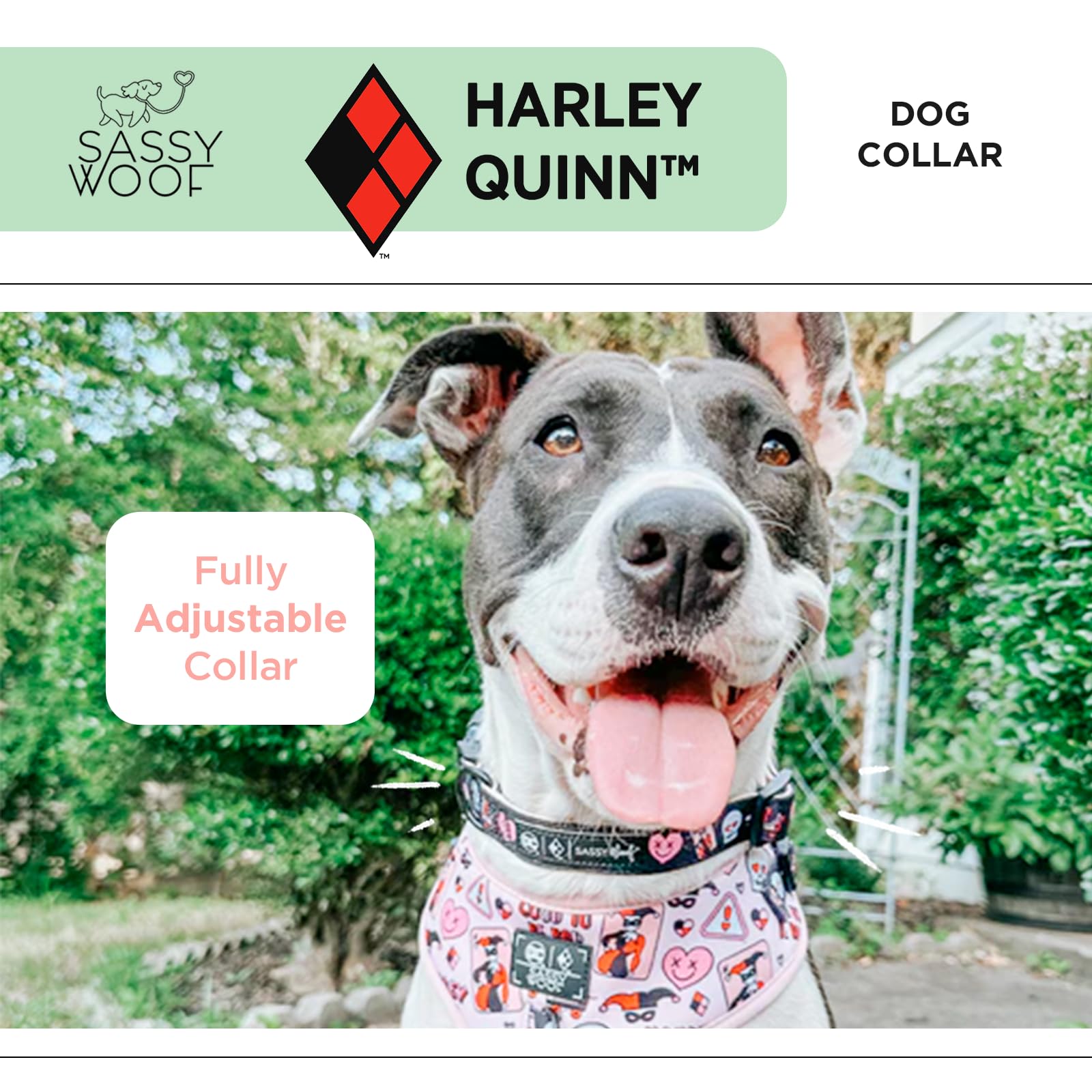 Sassy Woof Dog Collar Harley Quinn - S, Adjustable, Durable, Comfortable And Stylish Pet Accessories For Small Dogs - Officially