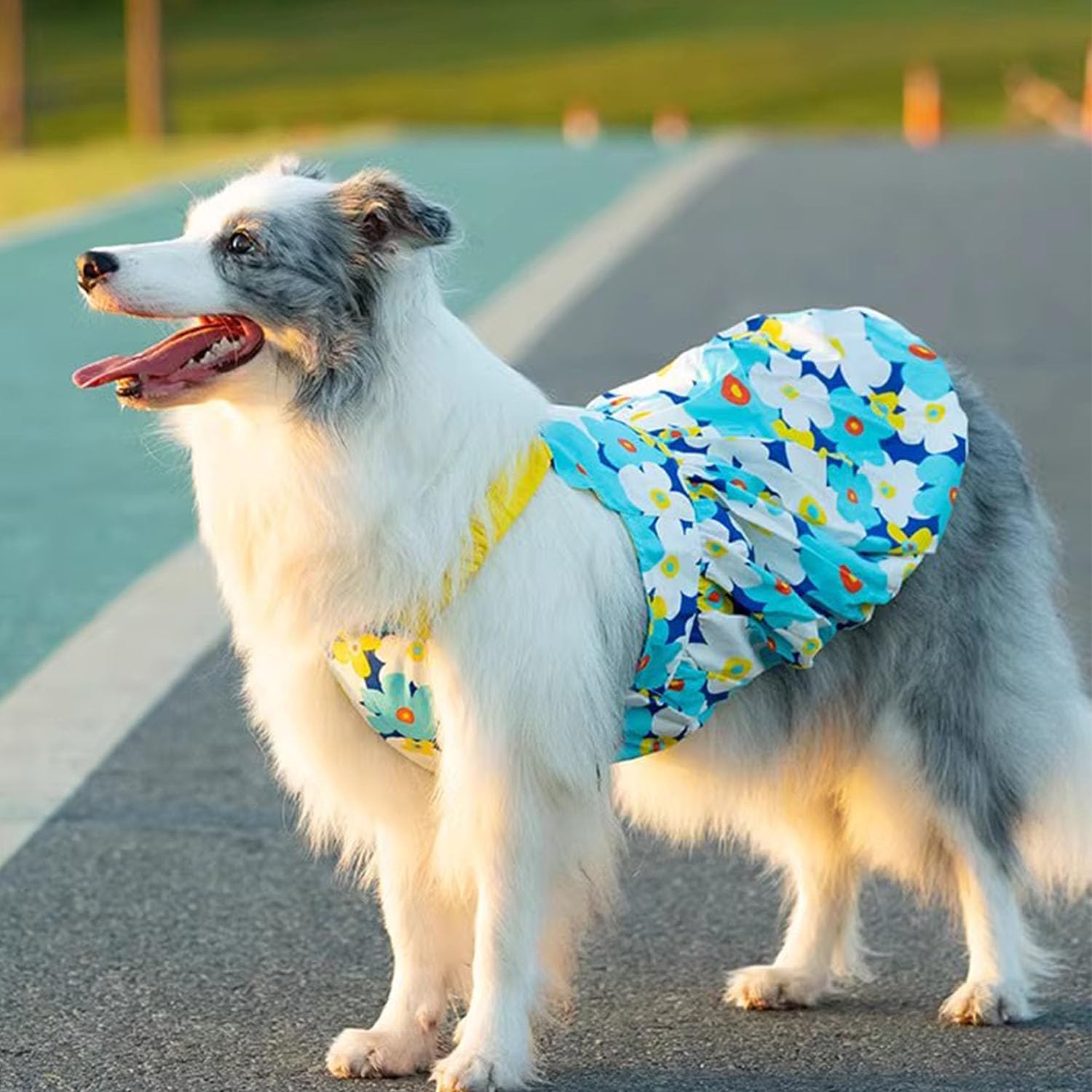 Fladorepet Large Dog Princess Dress,Floral Dog Wedding Birthday Holiday Dress For Medium Large Dogs Girl,Spring Summer Dog Cloth