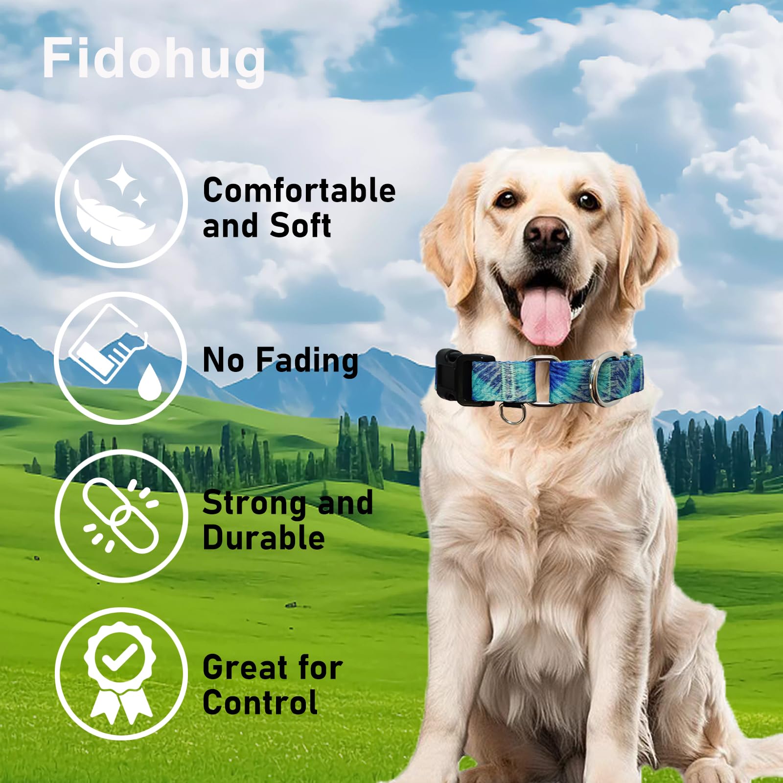 Fidohug Martingale Collar With Buckle Blue Tie Dye Training Collar Adjustable Nylon Boy Dog Collars (Blue Teal, Large)