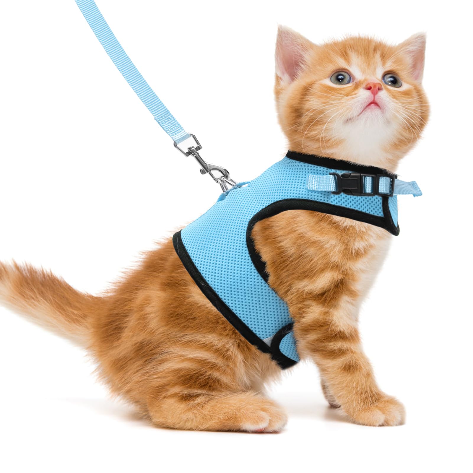Pupteck Soft Mesh Cat Vest Harness And Leash Set Puppy Padded Pet Harnesses Escape Proof For Cats Small Dogs, Blue Medium