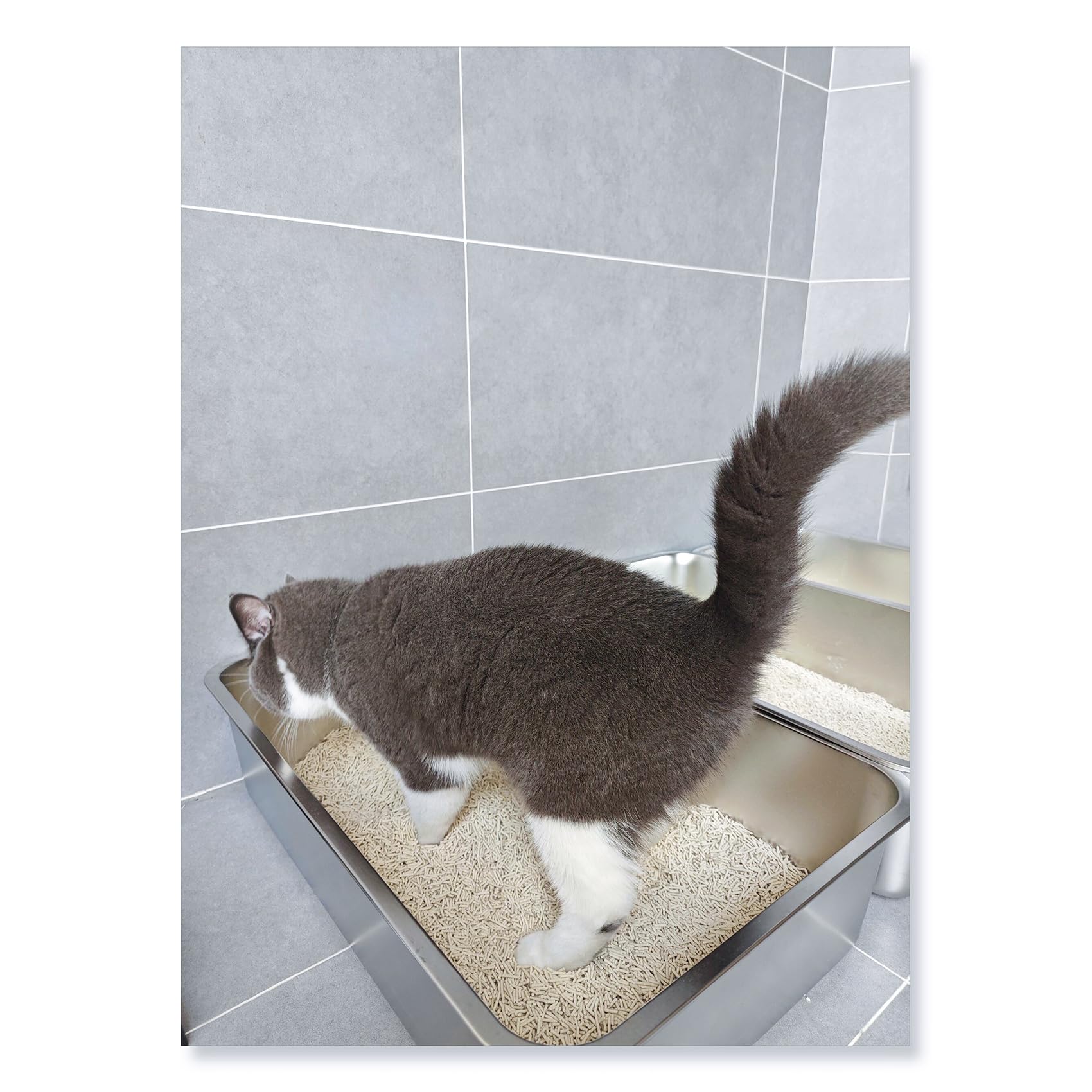 Ikitchen Stainless Steel Cat Litter Box, Large Metal Litter Pan For Cats Rabbits, Kitty Litter Box Never Absorbs Odors, Low Side