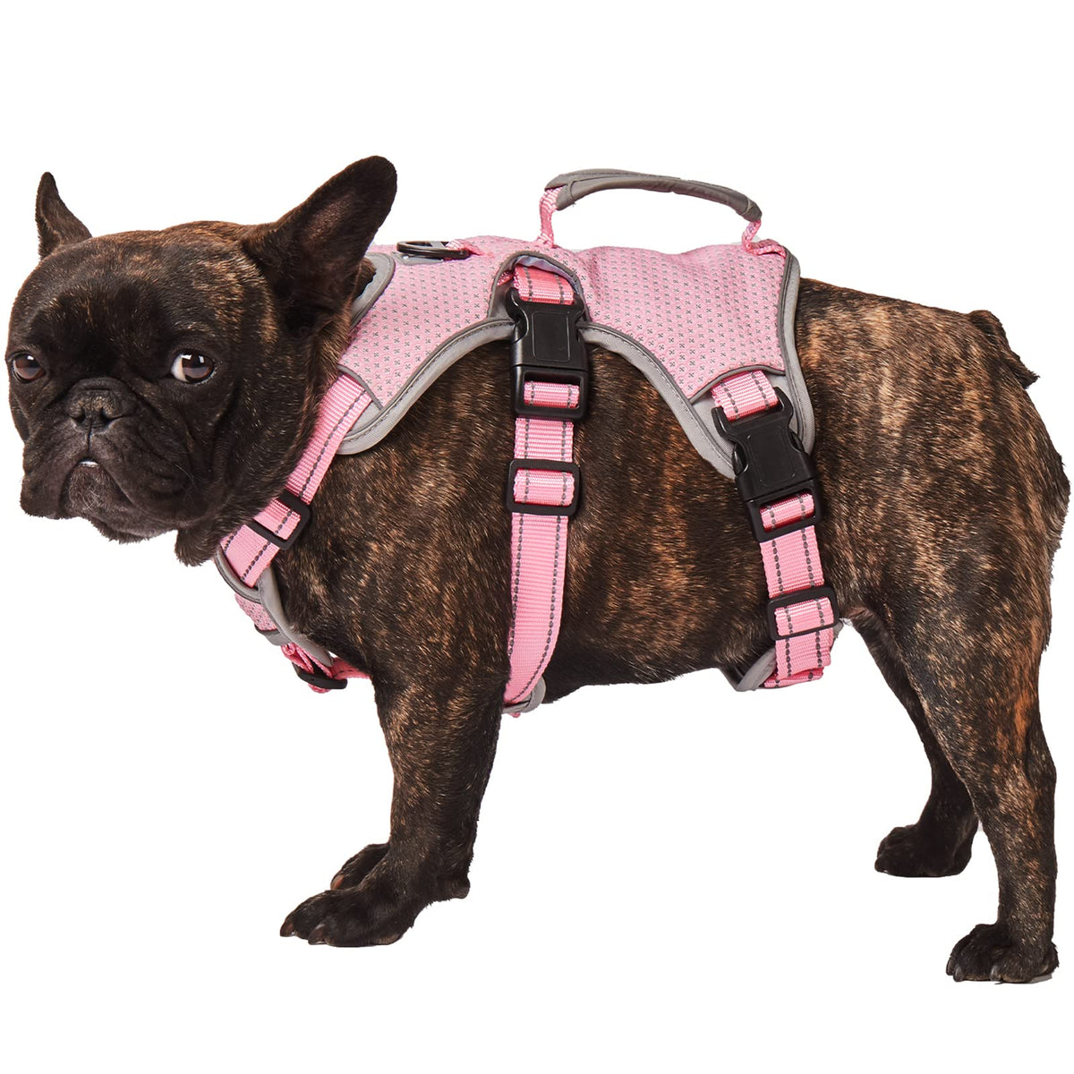 No Escape Dog Harness, Escape Proof Harness, Fully Reflective Harness With Padded Handle, Breathable,Durable, Adjustable Vest For Medium Dogs Walking, Training, And Running Gear Pink (Medium)