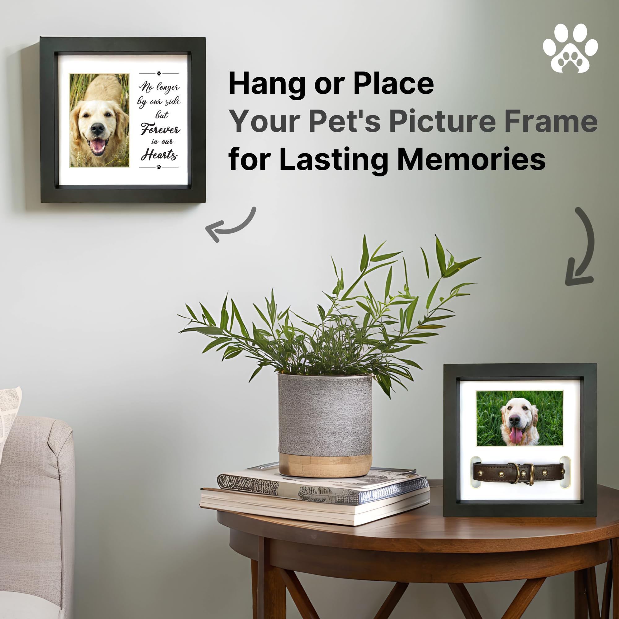 Pawceptive Dog Memorial Picture Frame With 5 Display Options- Dog Collar Memorial Frame Gift - Cat Or Dog Pet Loss Gift For A Grieving Friend - Pet Remembrance Gift And Sympathy Photo Keepsake
