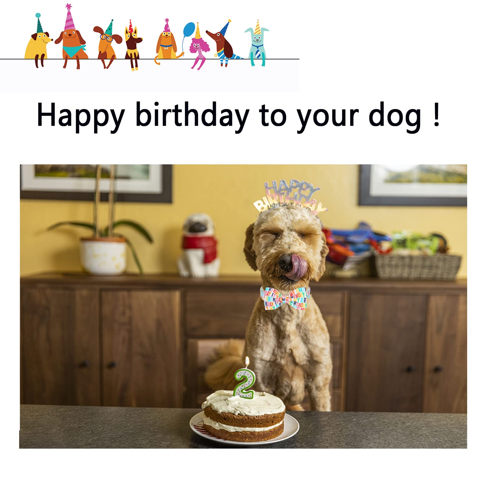 Unqiue Style Paws Birthday Dog Collar, Soft And Cute Dog Bow Tie, Durable Pet Collar With Bow Adjustable Dog Collar For X-Small Puppy