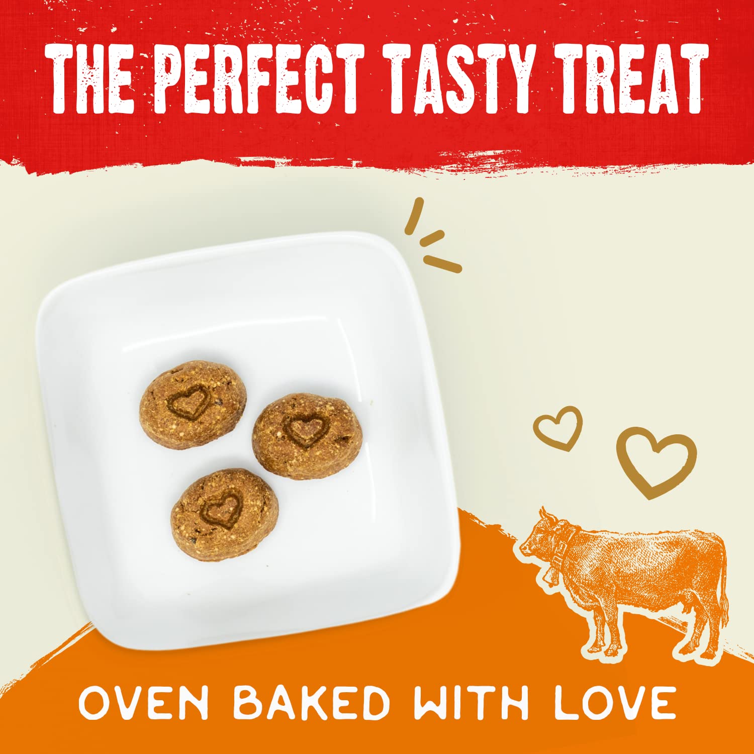 Stella & Chewys Freeze-Dried Raw Coated Dog Biscuits - Grass-Fed Beef Recipe - Protein Rich, Grain Free Dog & Puppy Treat - Gre