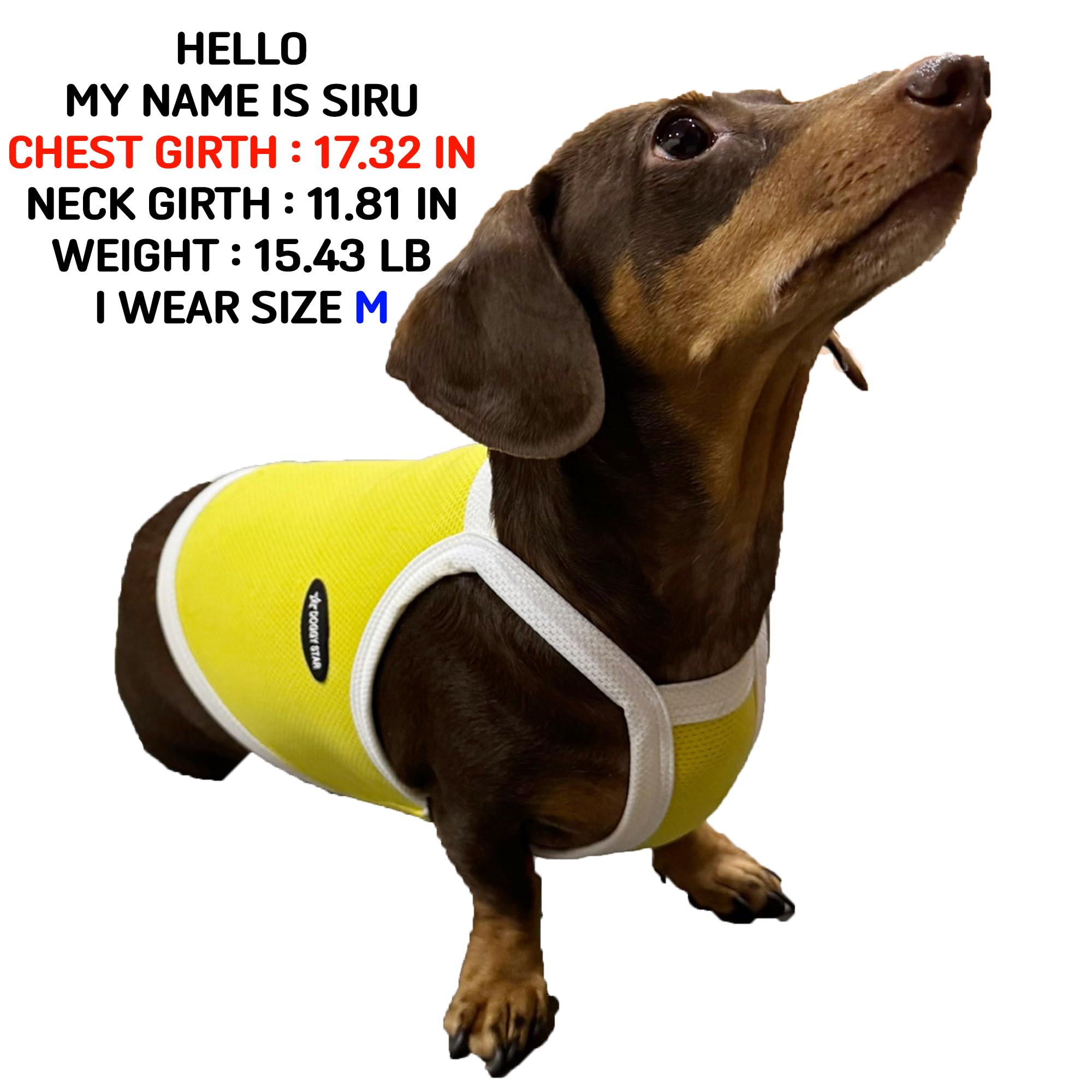 D Doggy Star Dachshund Clothes Spring Summer Cooling String T Shirt Crop Top For Dogs (L,Camisole Yellow)