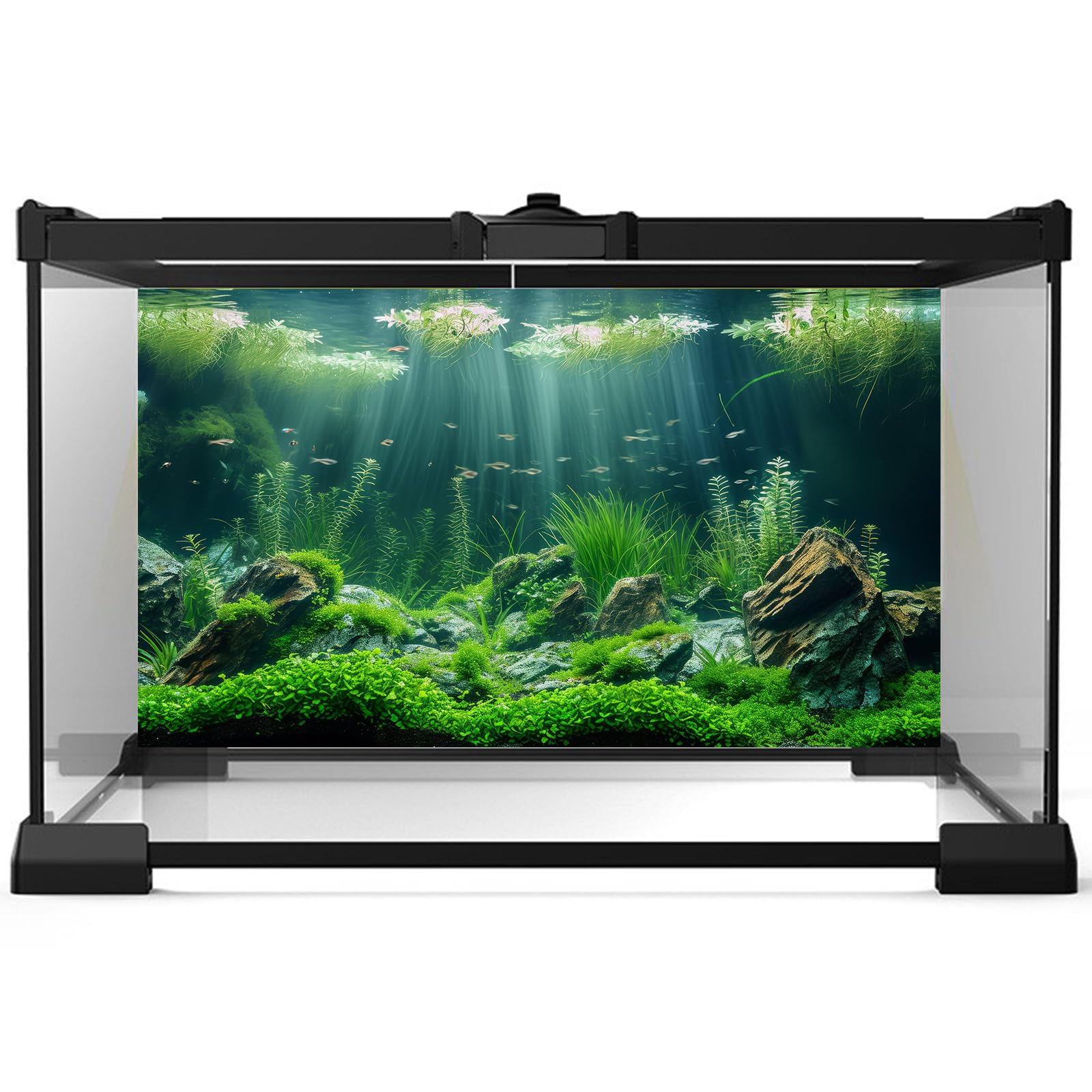 Aquarium Background Underwater Grass Leaves with Stone Aquarium Backdrop Vivid and Fresh Green Aquatic Plant Stone River Bed and