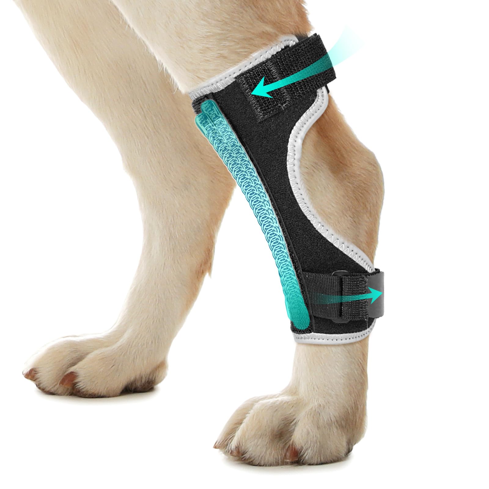 Pawfun Dog Leg Braces for Back & Front Legs- Dog Hock & Ankle Joint Brace for Weak Back Legs with 2 Metal Strips, Reflective Tri