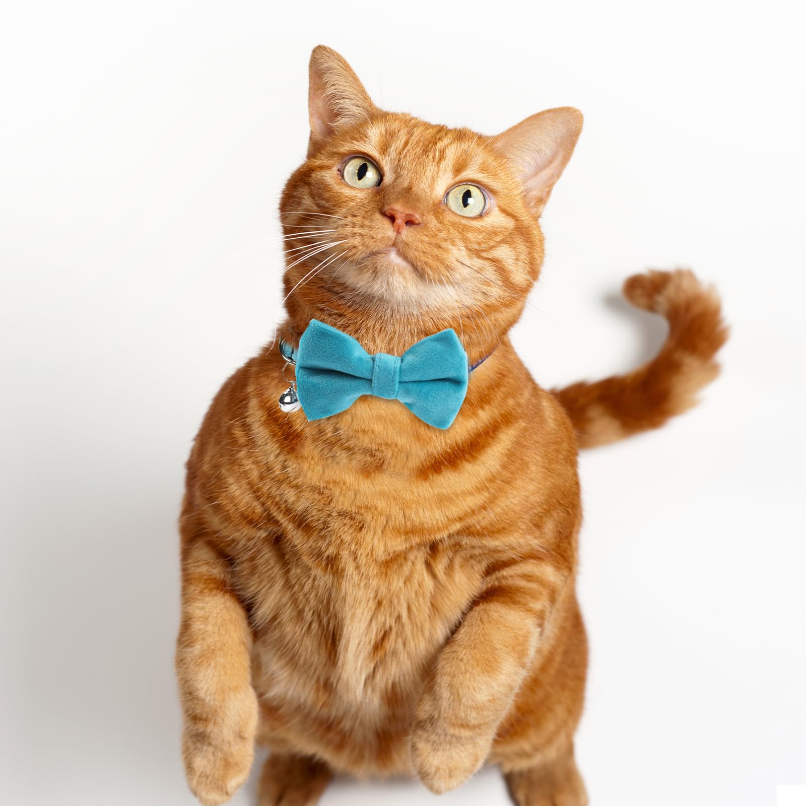 Sliverdew 2 Pcs Adjustable Cat Collar With Bell Kitten Bow Tie Collar Velvet Puppy Collar Breakaway Cat Collars Cute Costume Acc