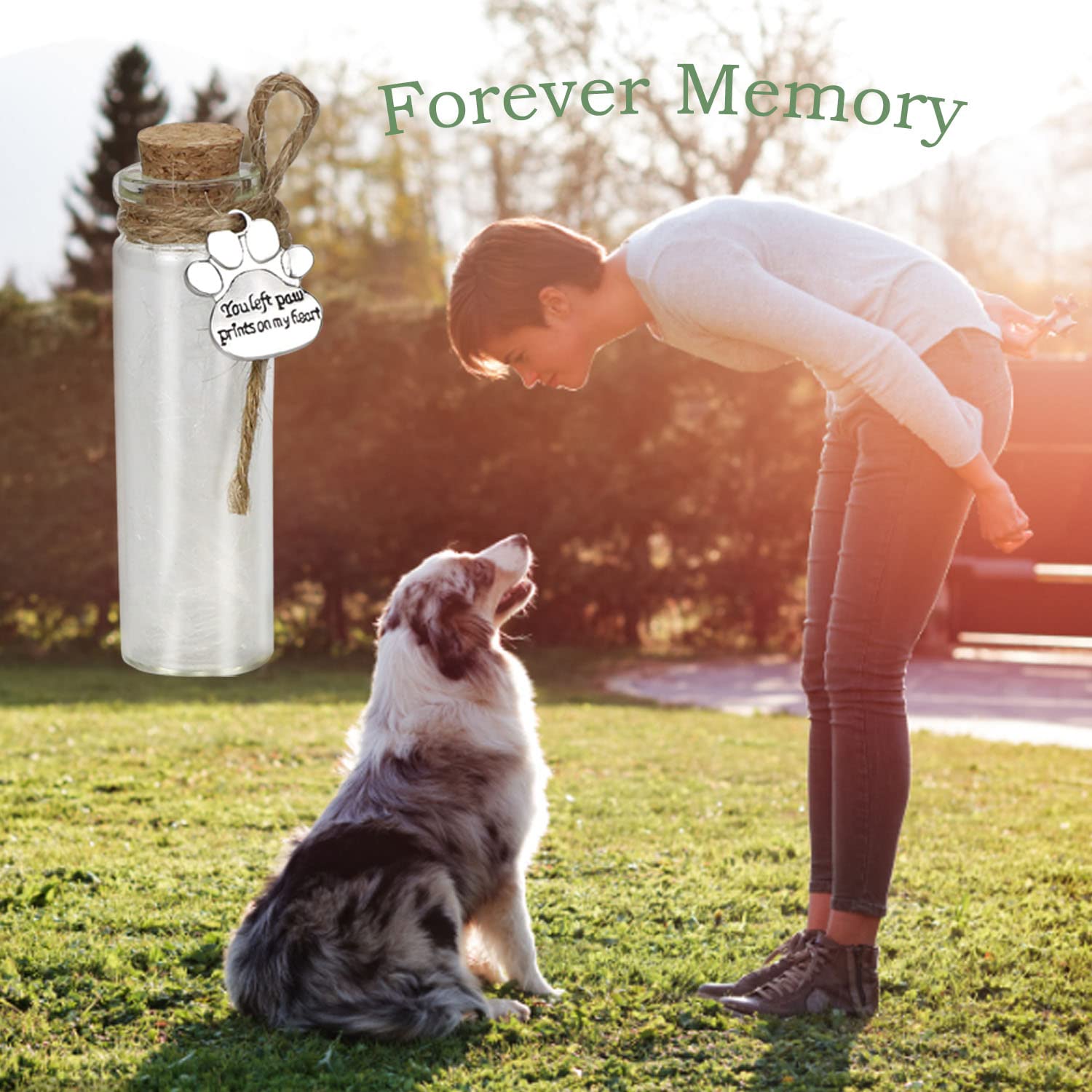 Pet Hair Memorial Bottle,Glass Vial For Ashes Or Hair Dog Or Cat Keepsake Pet Loss Gift (Bottle)