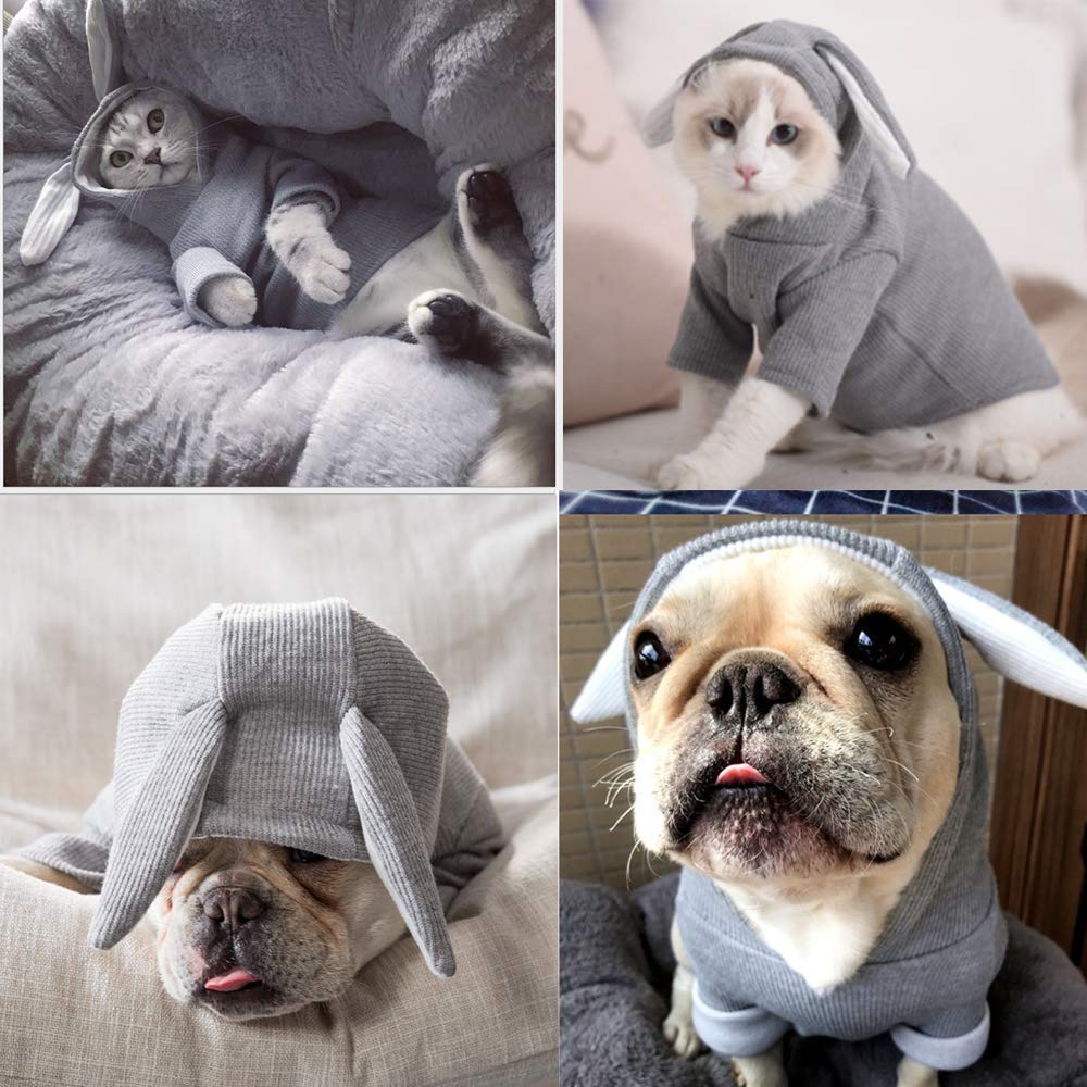 Aniac Funny Dog Hoodies For Small Dog Girl Boy Bunny Ears Dog Clothes Hooded Puppy Sweatshirt Cat Apparel Pet Costume For Easter Halloween Christmas Holiday (X-Large, Grey)