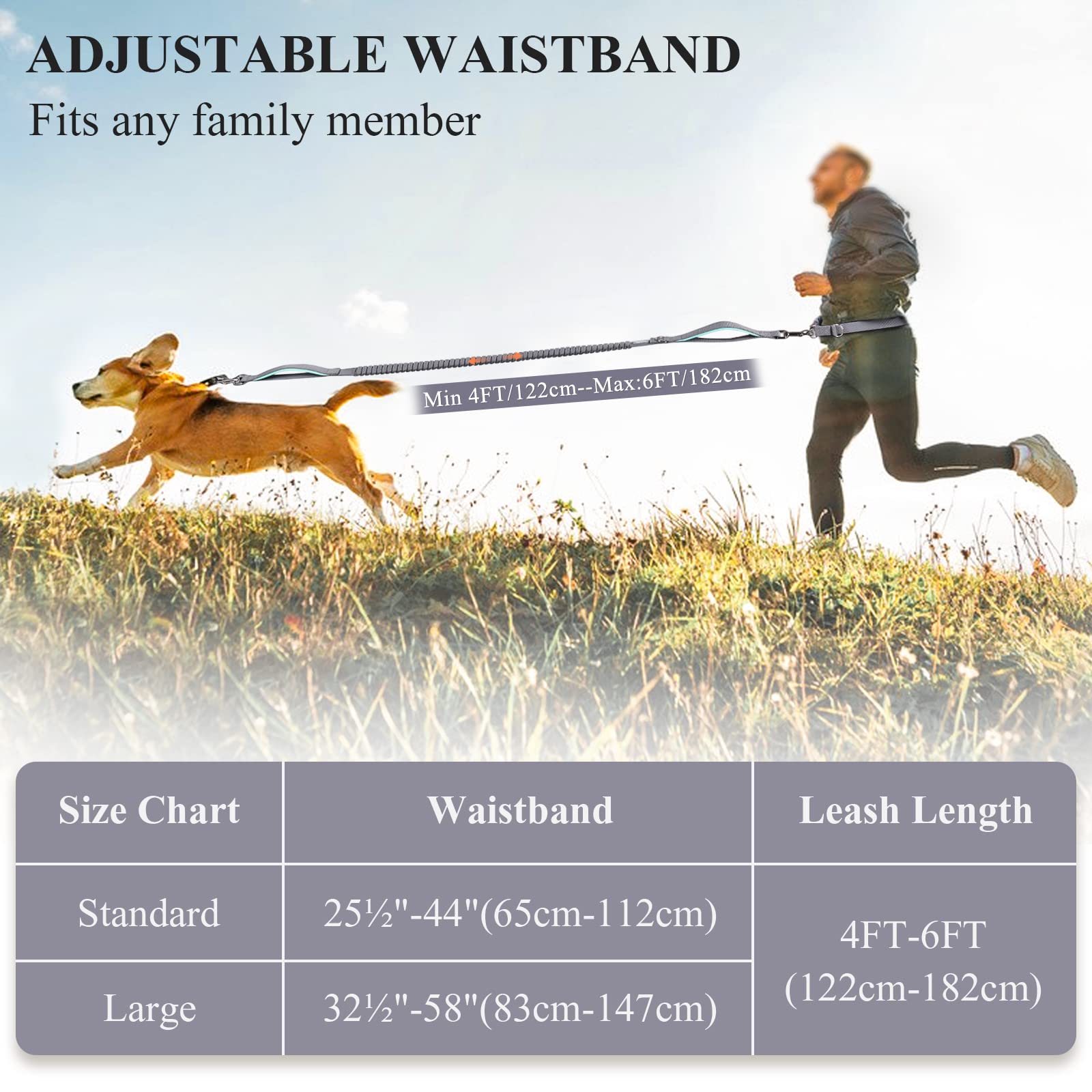 Vivaglory Hands Free Dog Leash With Shock-Absorbing Bungee For Medium & Large Dogs, Reflective Adjustable Waist Leash With Dual Padded Handle For Walking, Jogging, Running, Hiking, Grey-Turquoise