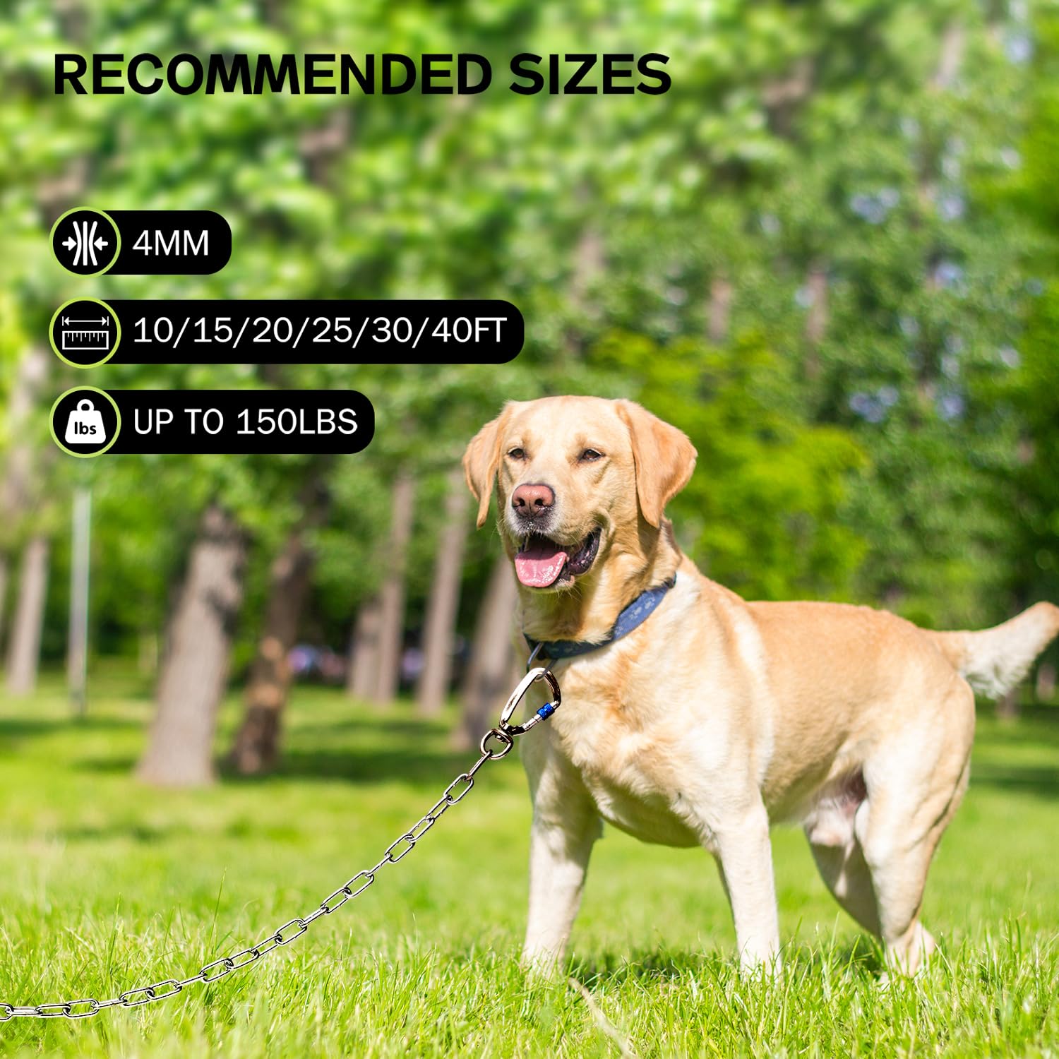 Heavy Duty Dog Chain For Yard-40Ft Metal Dog Chain Leash Chew Proof,Long Dog Lead For Outside With Strong Swivel Hook,Outdoor Do