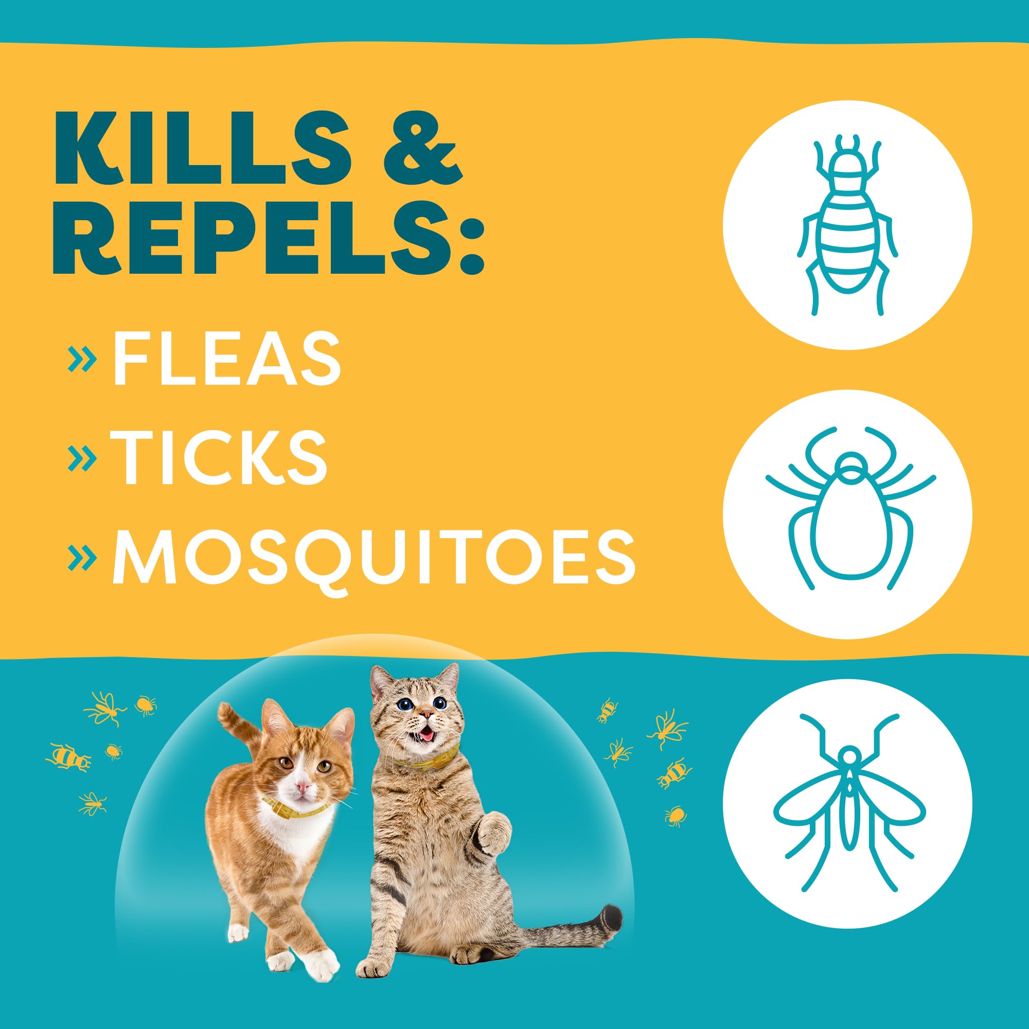 Only Natural Pet Easydefense Flea & Tick Cat Collar - Feline Flea Collars Flea And Tick Control - Pet Flea Care That Protects Up To 4 Months - For Cats (Single)