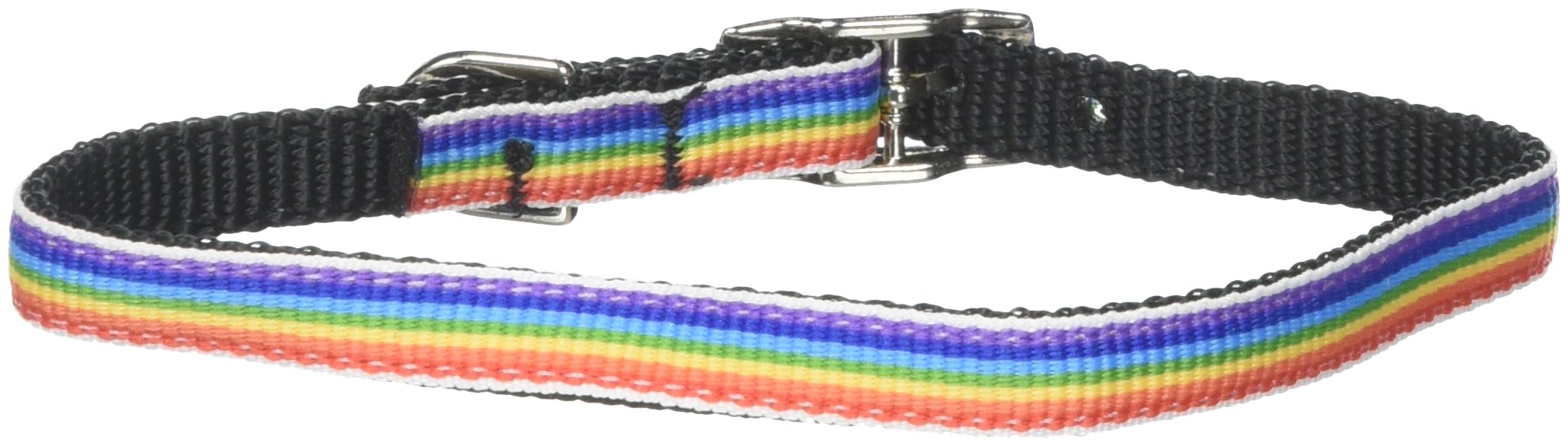 Mirage Pet Products Rainbow Striped 3/8&quot; Nylon Dog Collar with Classic Buckle, Size 14, Rainbow Stripes
