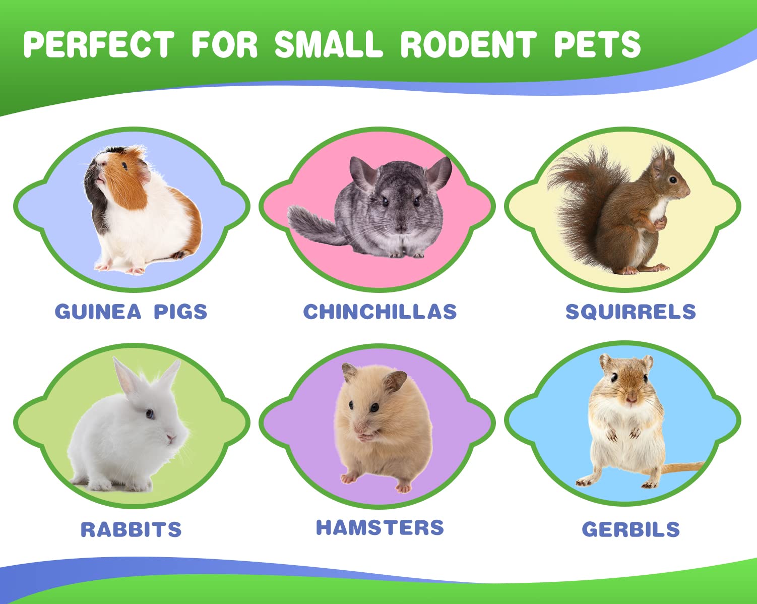 Abizoo Bunny Chew Toys for Rabbits,18PCS Natural Apple Wood Sticks with Petals Good for Chinchillas Guinea Pig Hamster Teeth Car