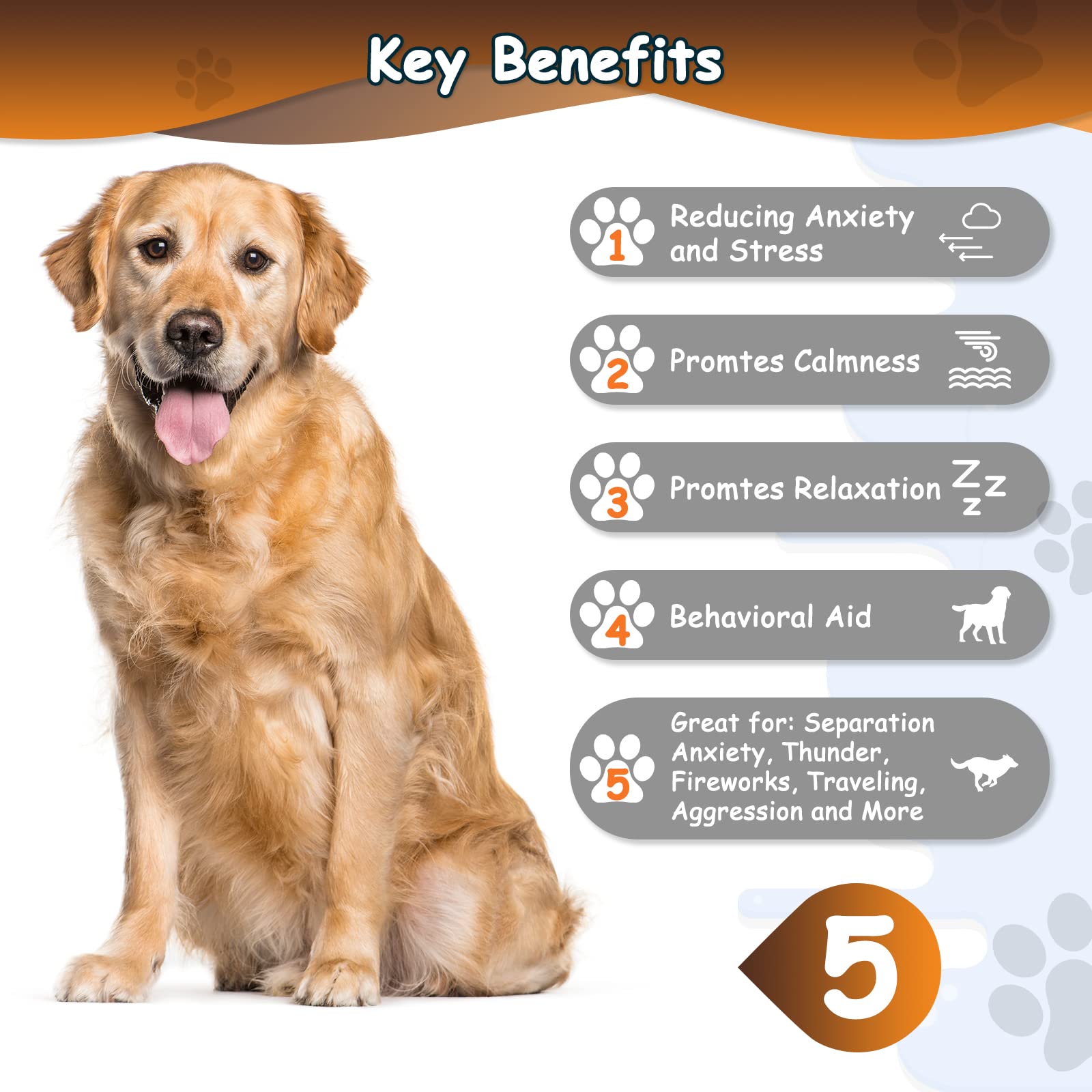 Moropaky Heartbeat Toy Puppy Heartbeat Stuffed Animal Heartbeat Plush Toy For Puppy, Dog Heartbeat Toy For Pet Anxiety Relief Be