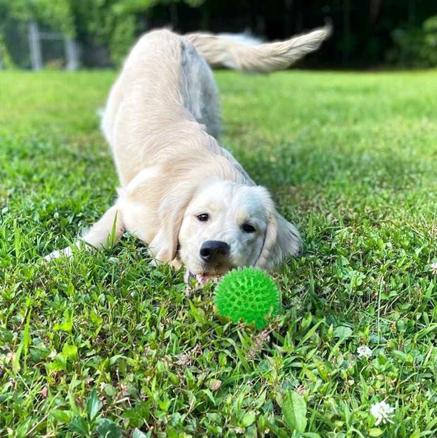 Cutie'S Petbox Squeaky Rubber Spike Toy Ball For Small Dogs, 3-Colors Blue Green Yellow (2.5 Inch, Multi-Pack)