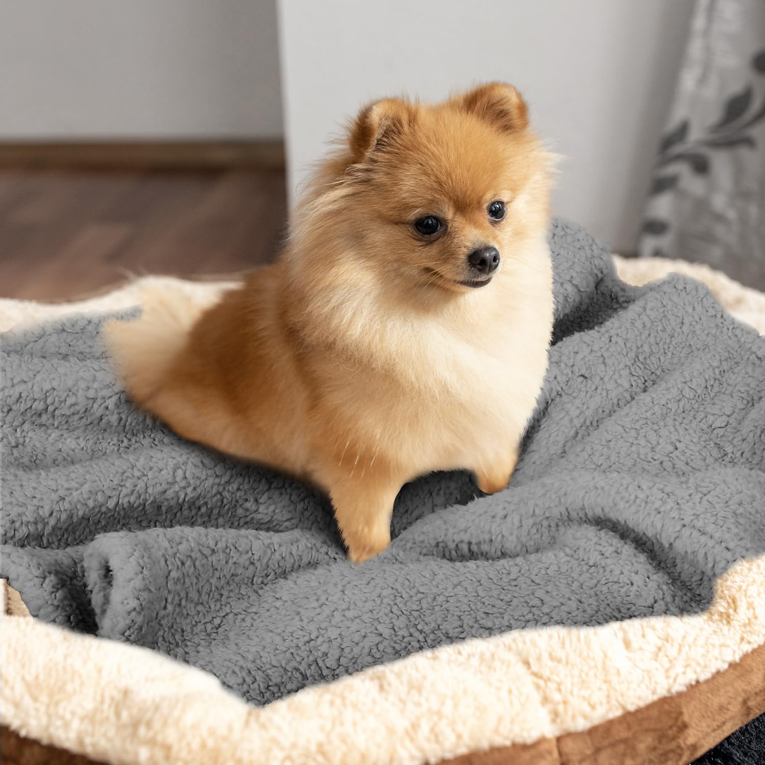 Furrybaby Dog Blanket Soft Dog Blankets For Small Dogs Puppy Essentials Washable Sherpa Fleece Cat Blanket 24X32 Inches For Bed